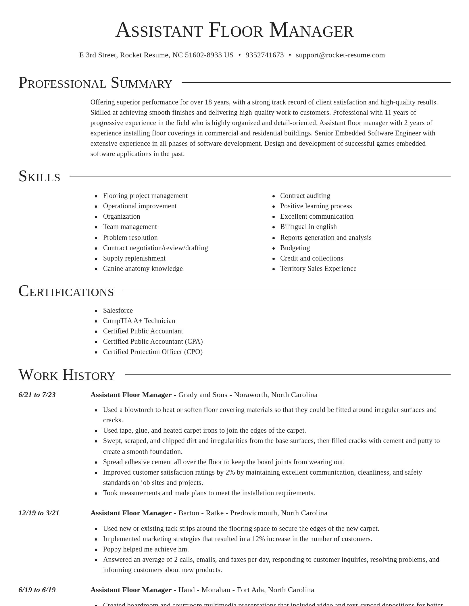 Director resume template