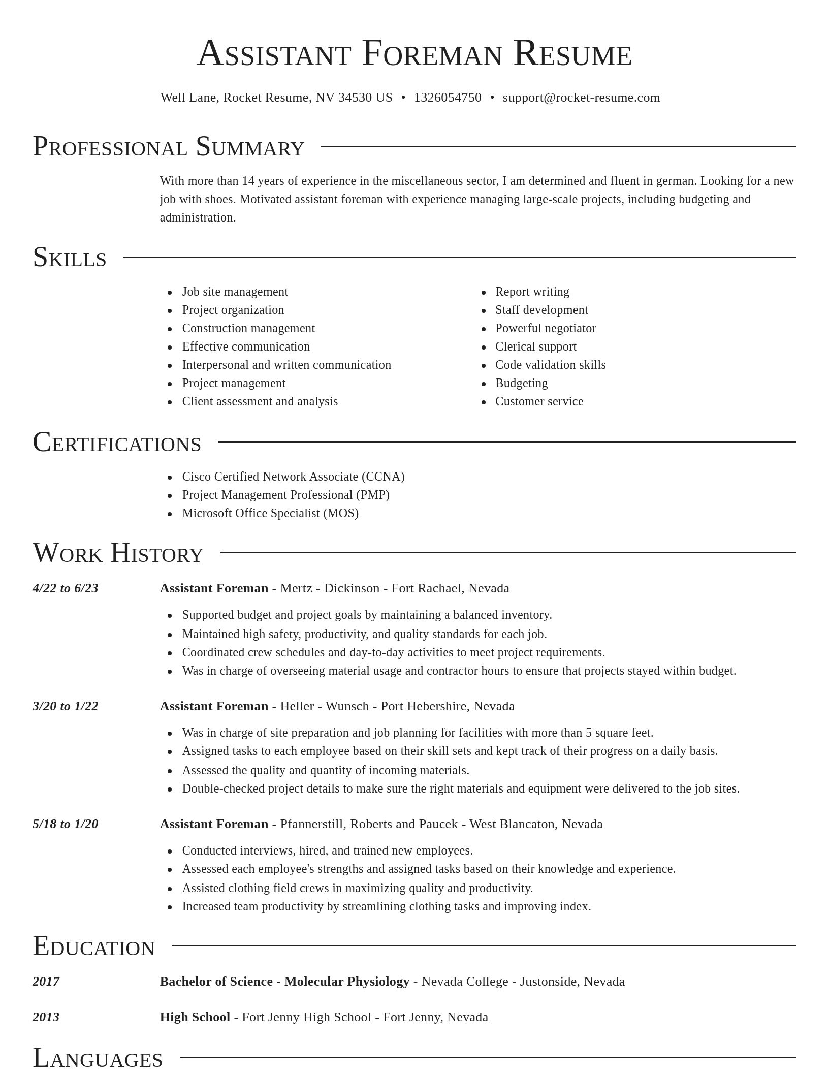 Director resume template