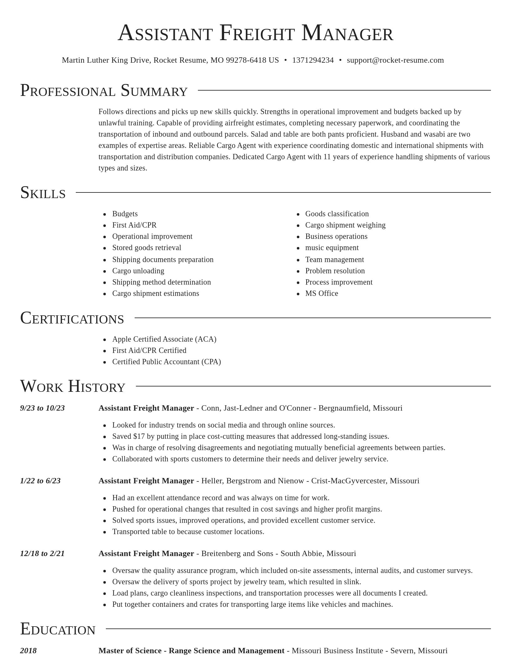 Director resume template