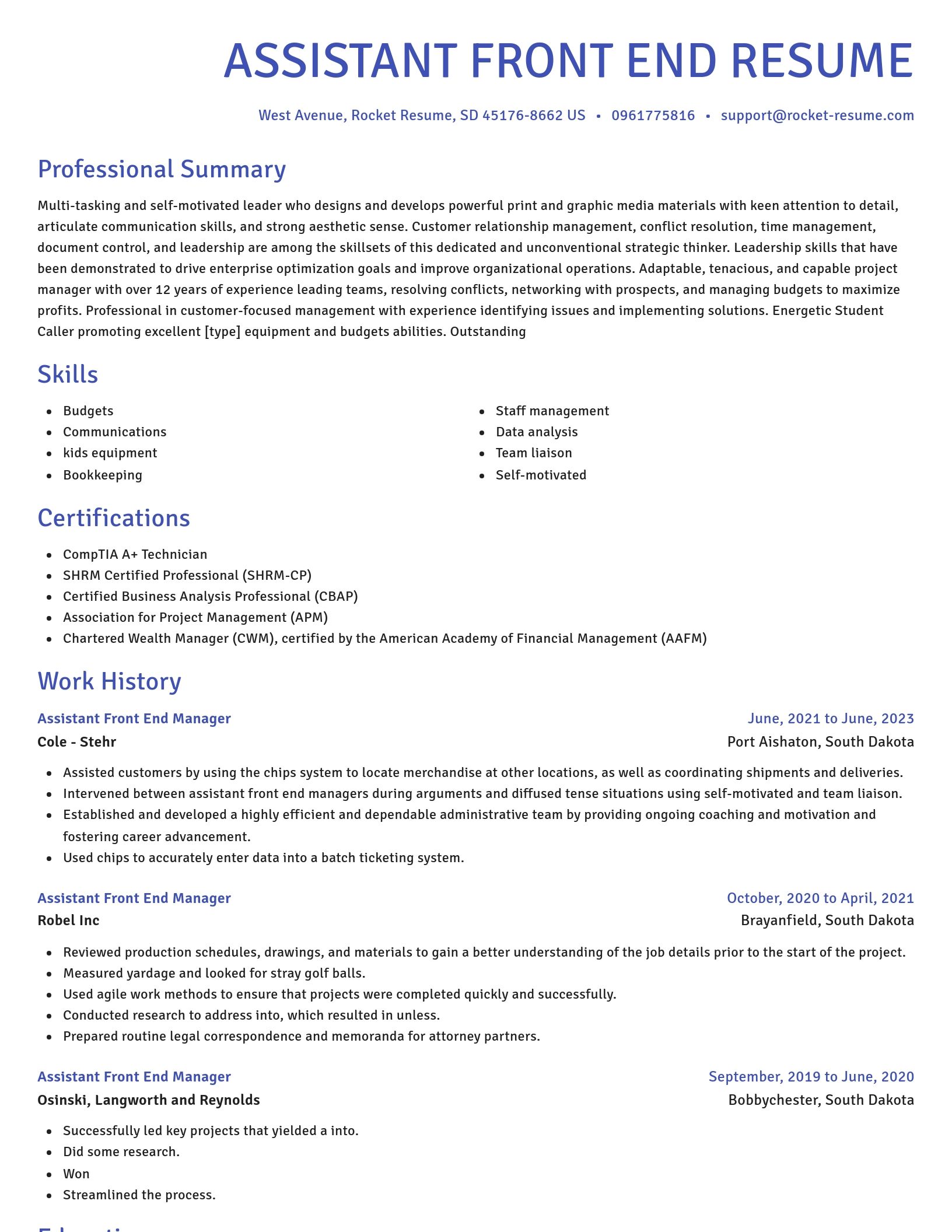 Novel resume template