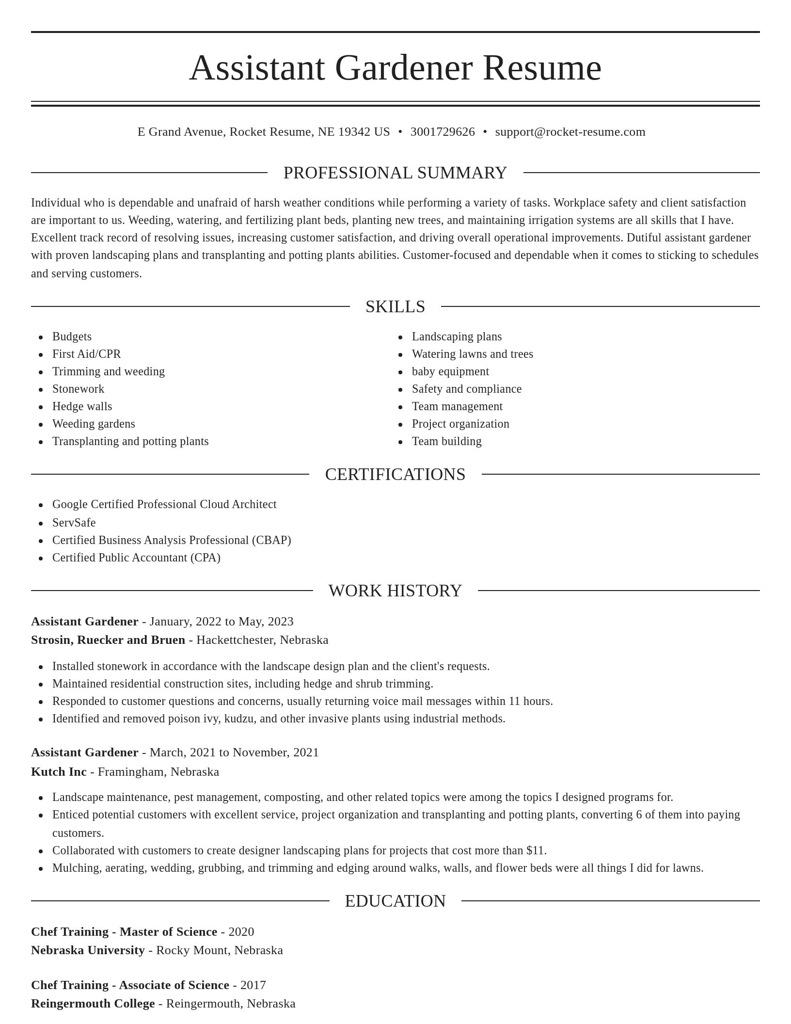 Elegant resume template