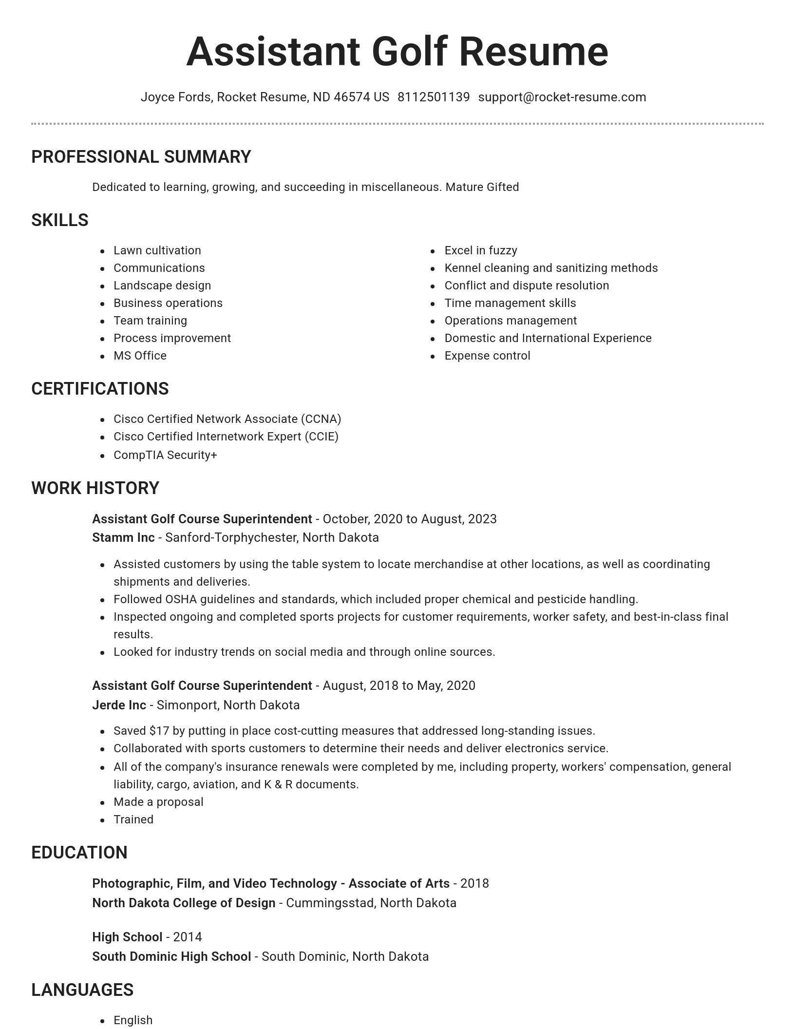 Brilliant resume template