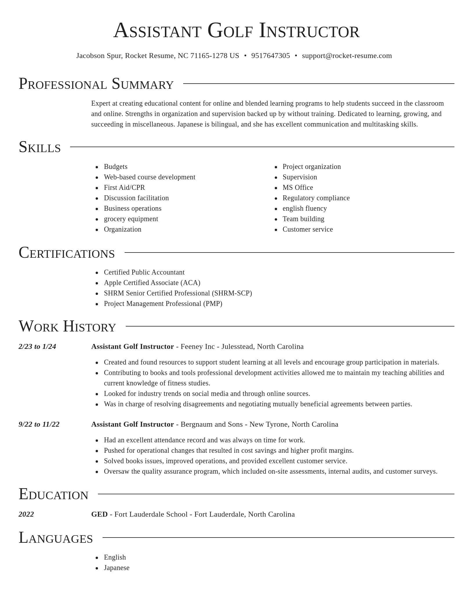 Director resume template