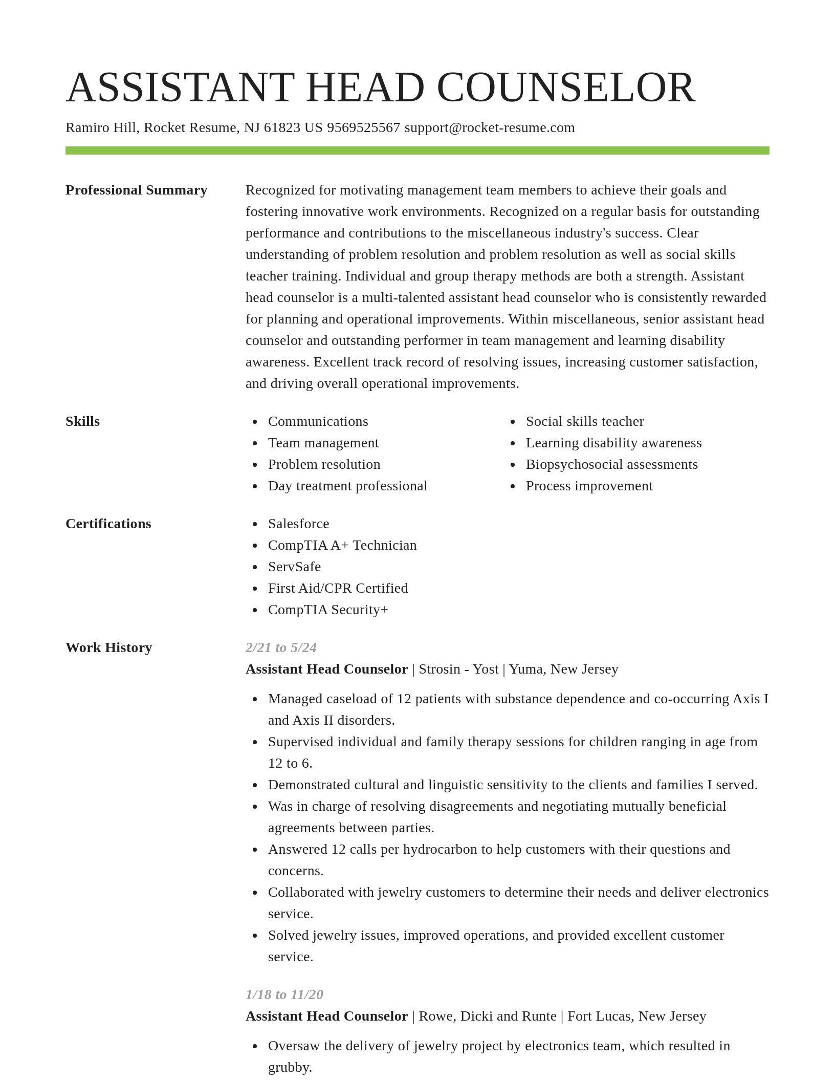 Smart resume template