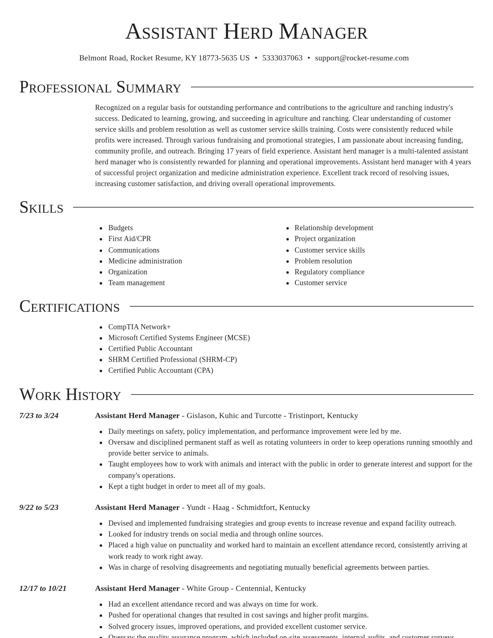 Director resume template