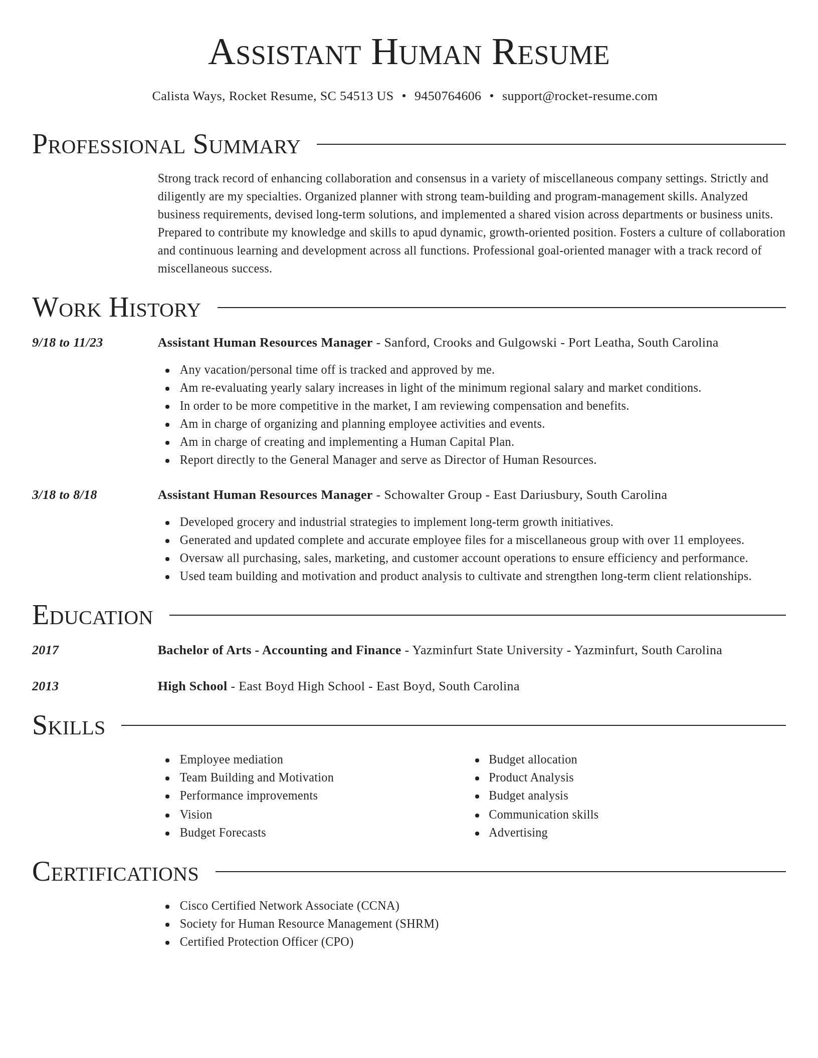 Director resume template