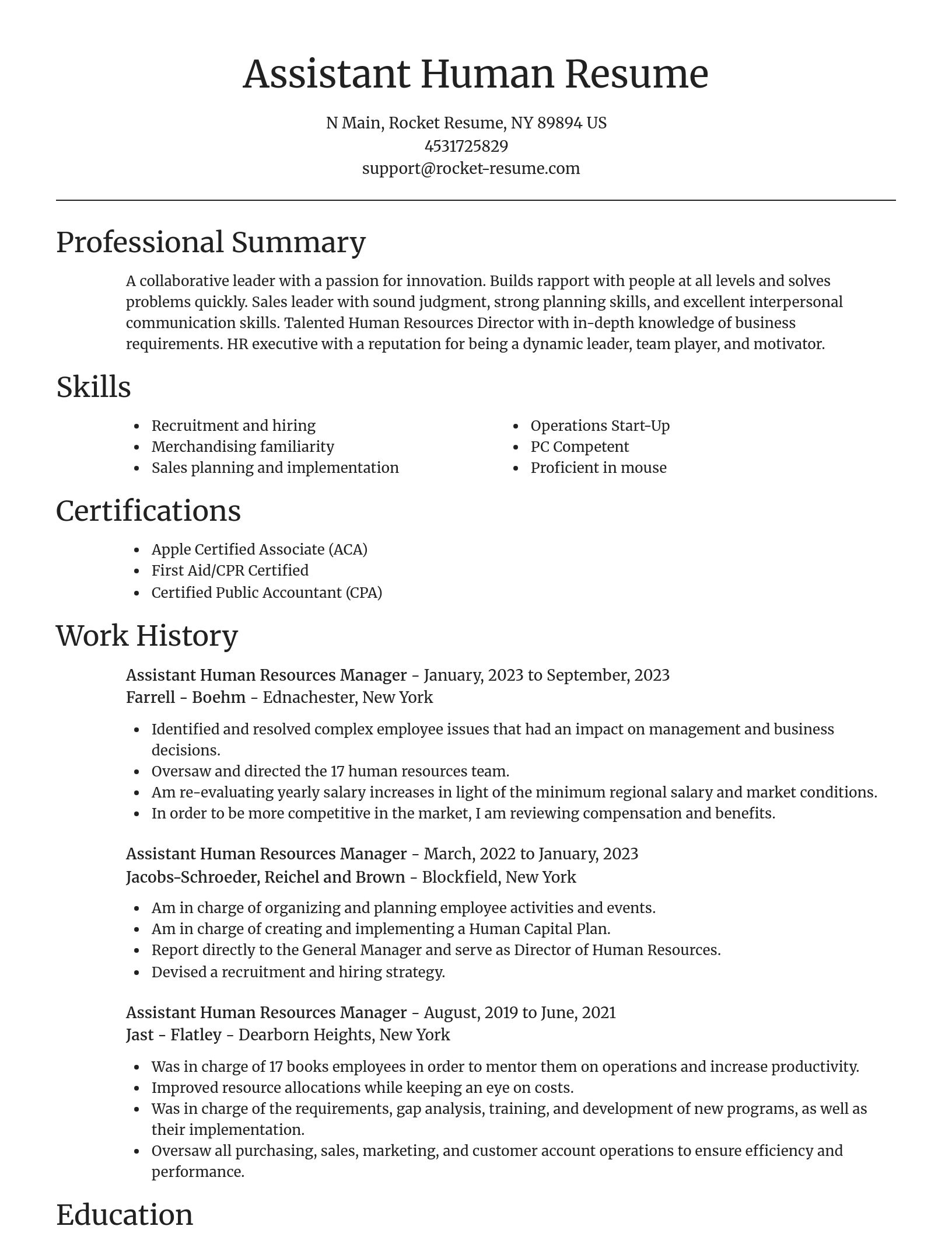 Focal Point resume template