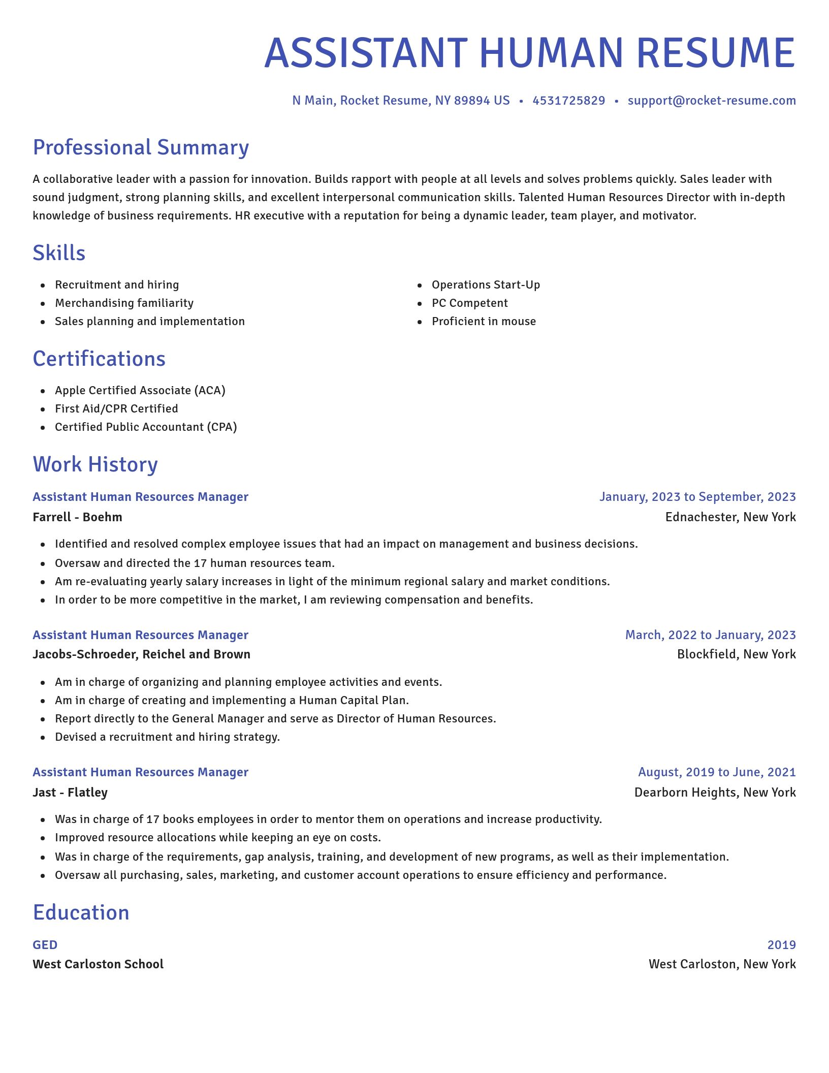 Novel resume template