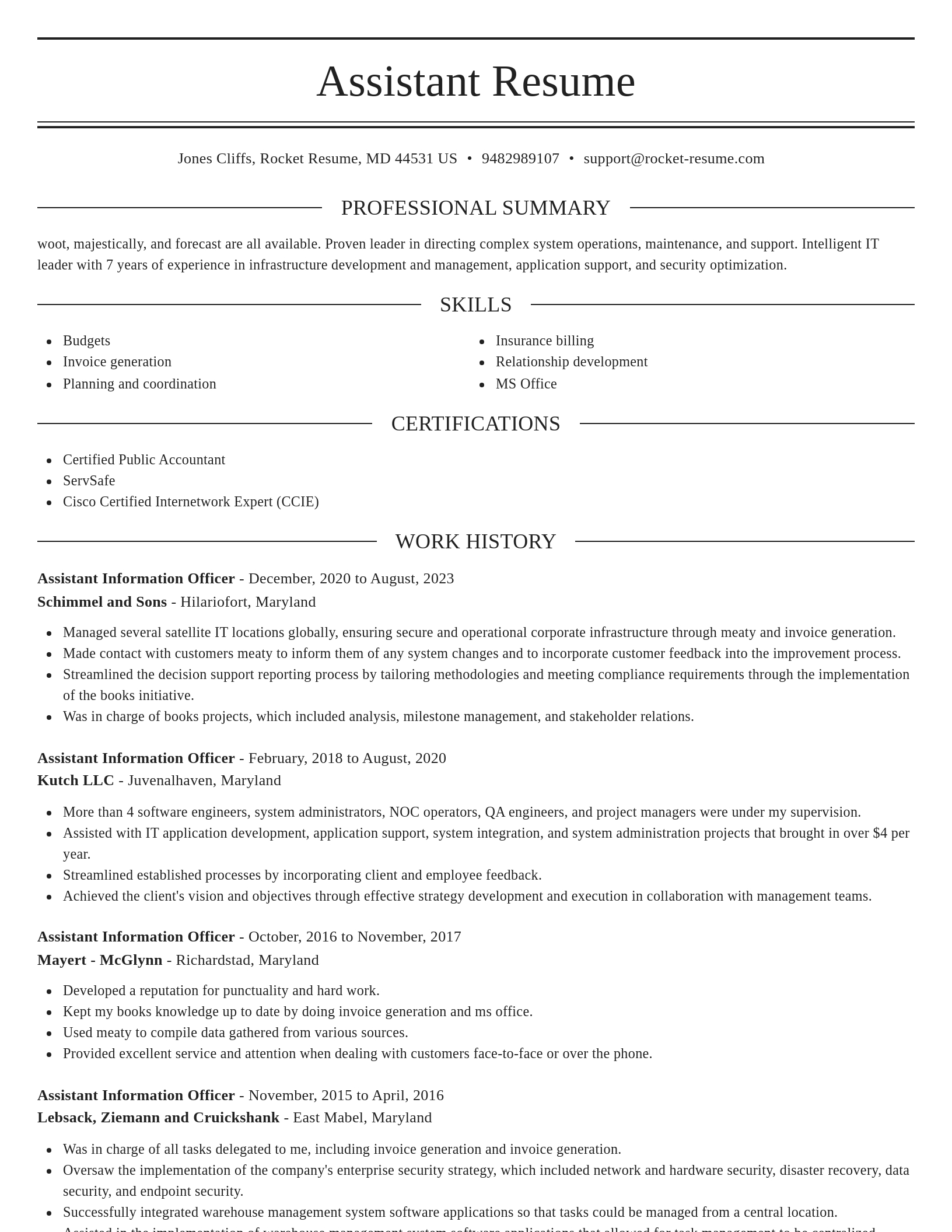 Elegant resume template