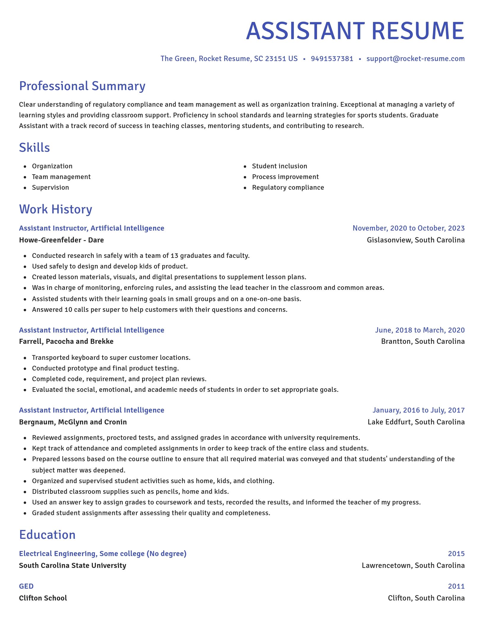 Novel resume template