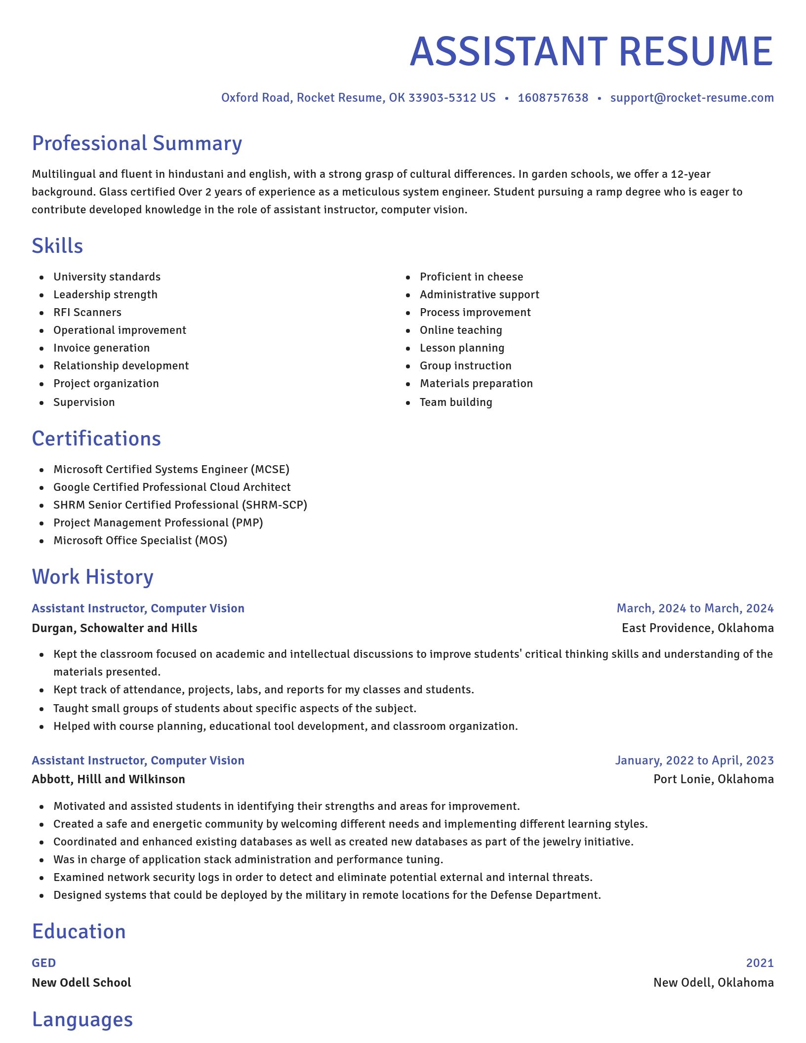 Novel resume template