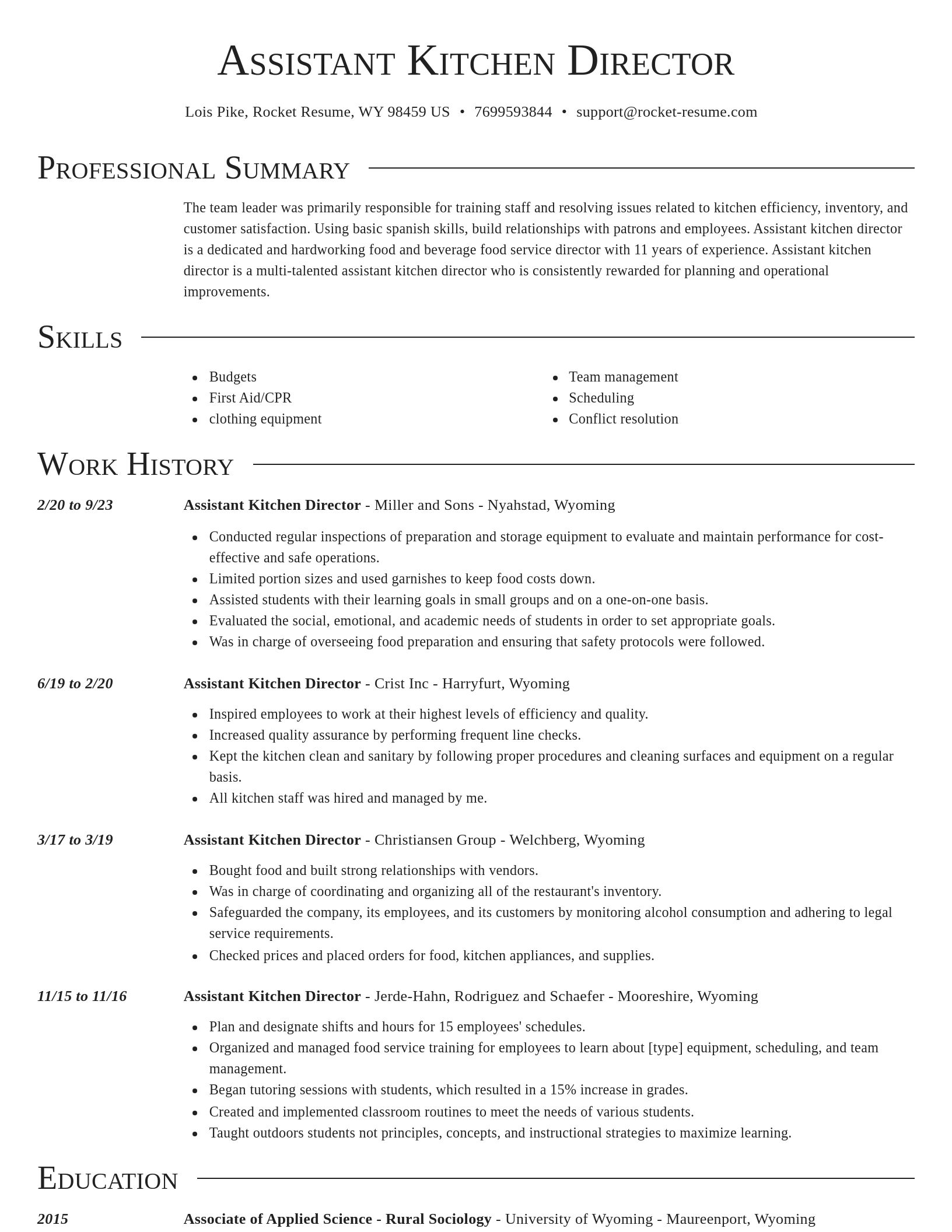 Director resume template