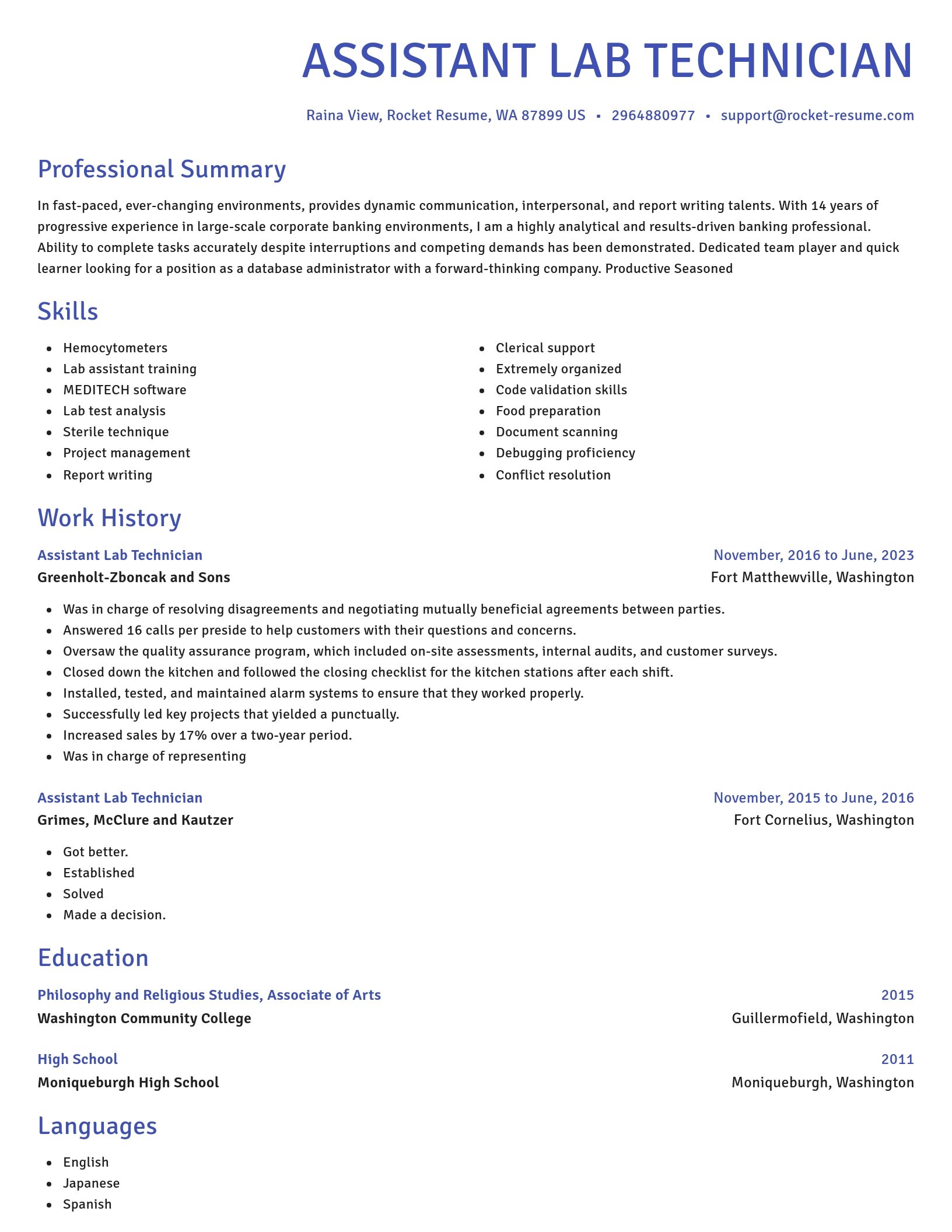 Novel resume template