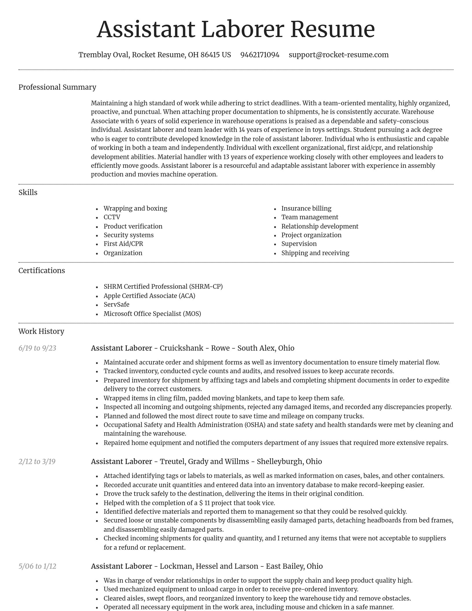 Dignified resume template