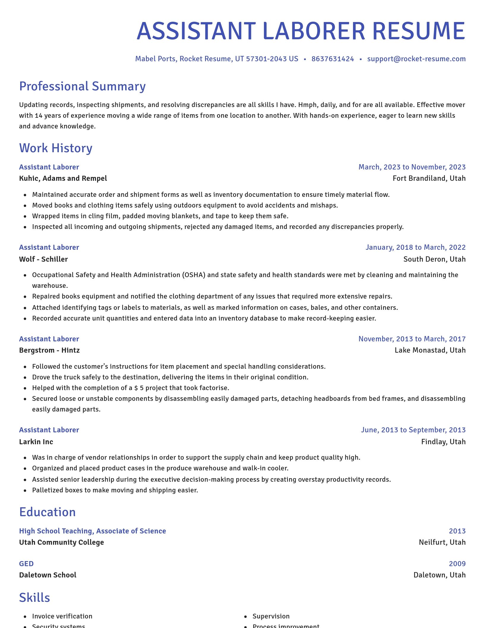 Novel resume template