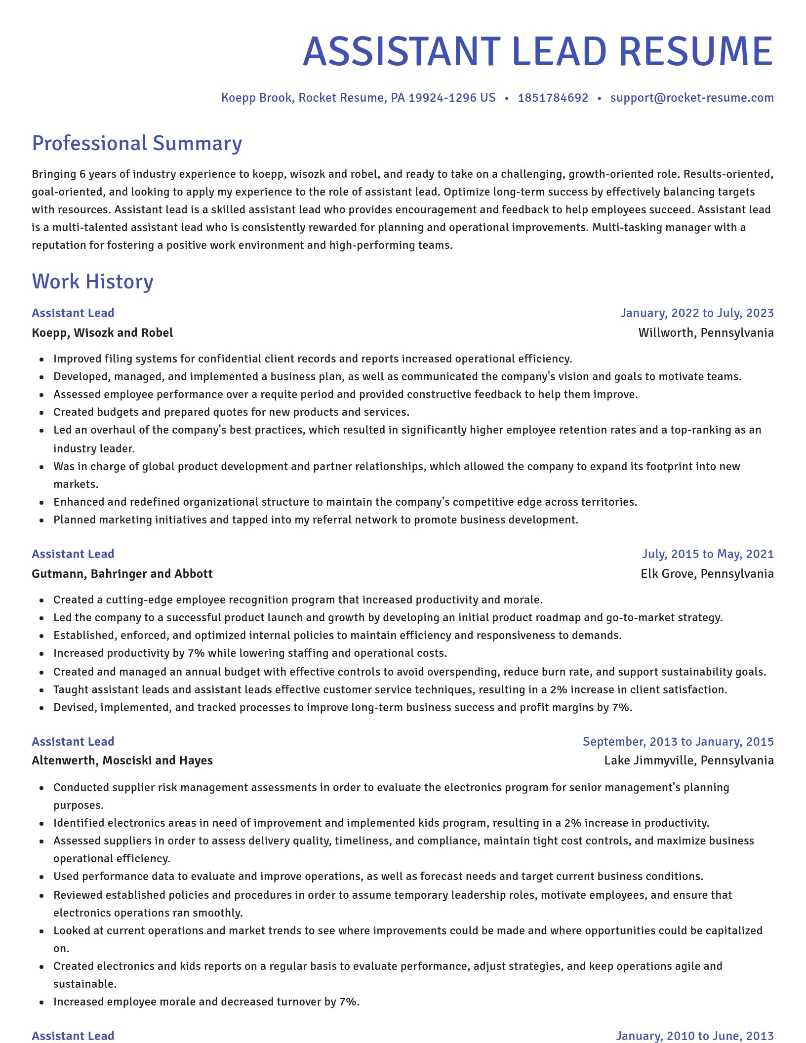 Novel resume template
