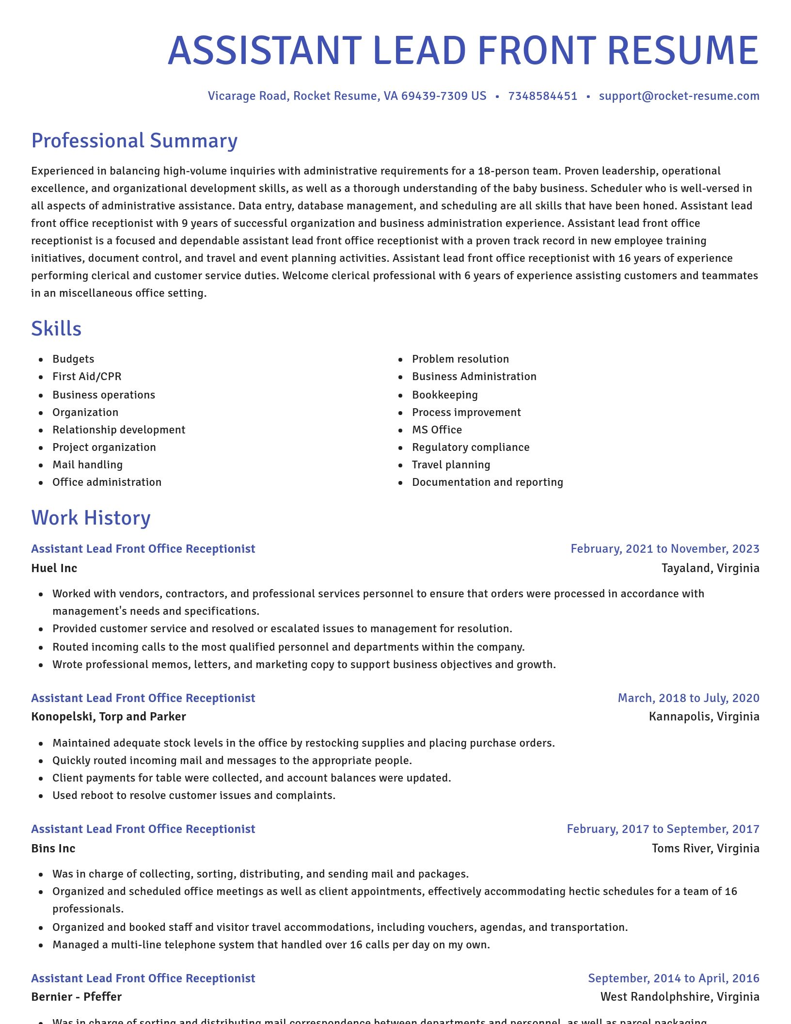 Novel resume template