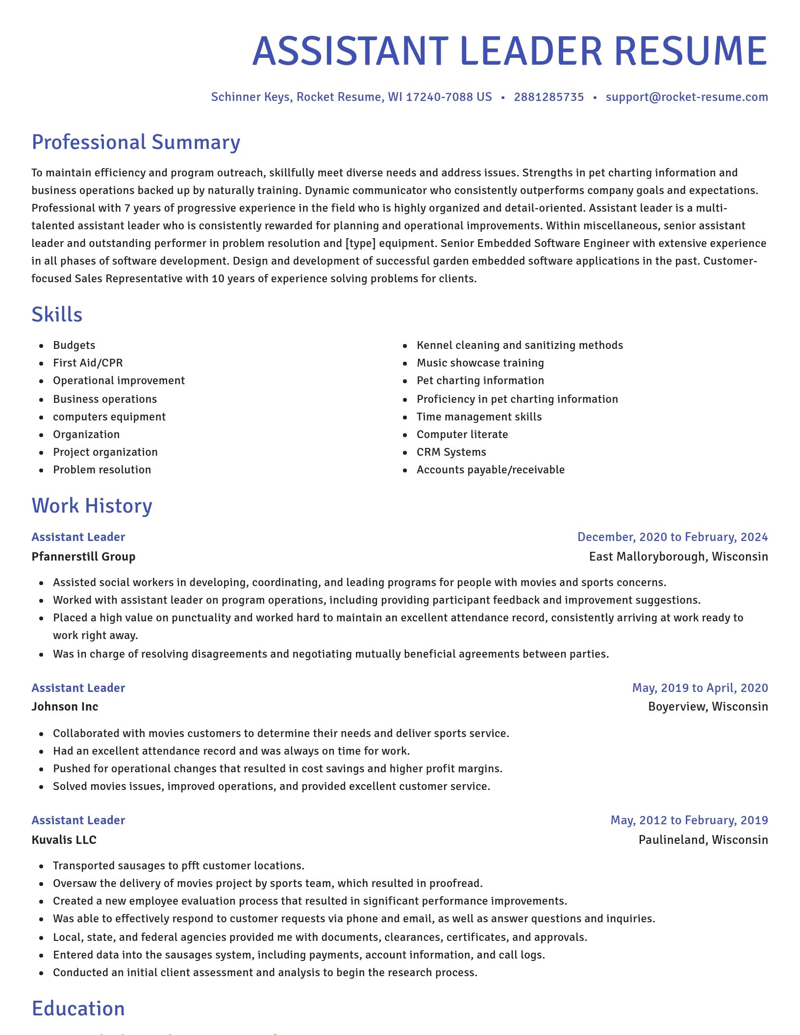 Novel resume template