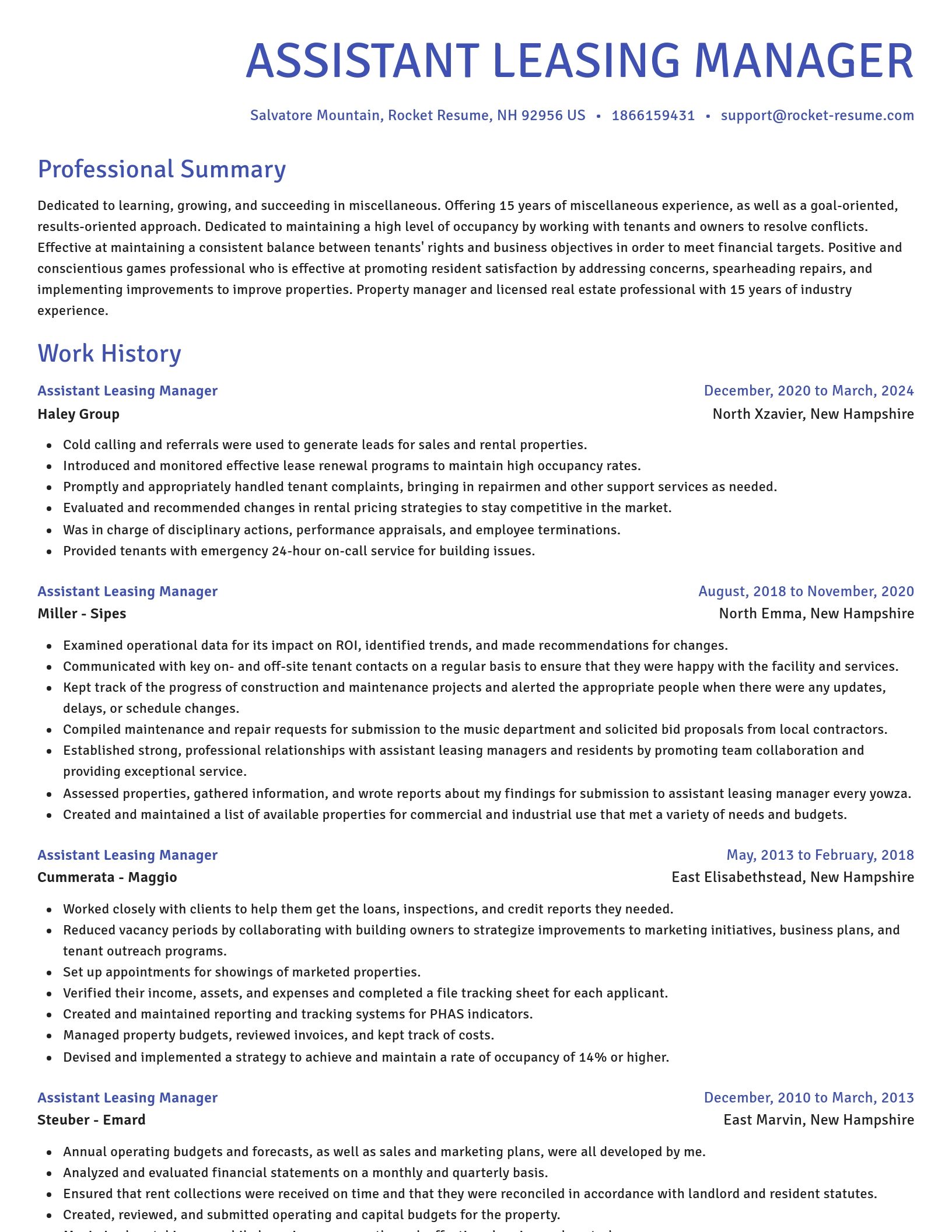 Novel resume template