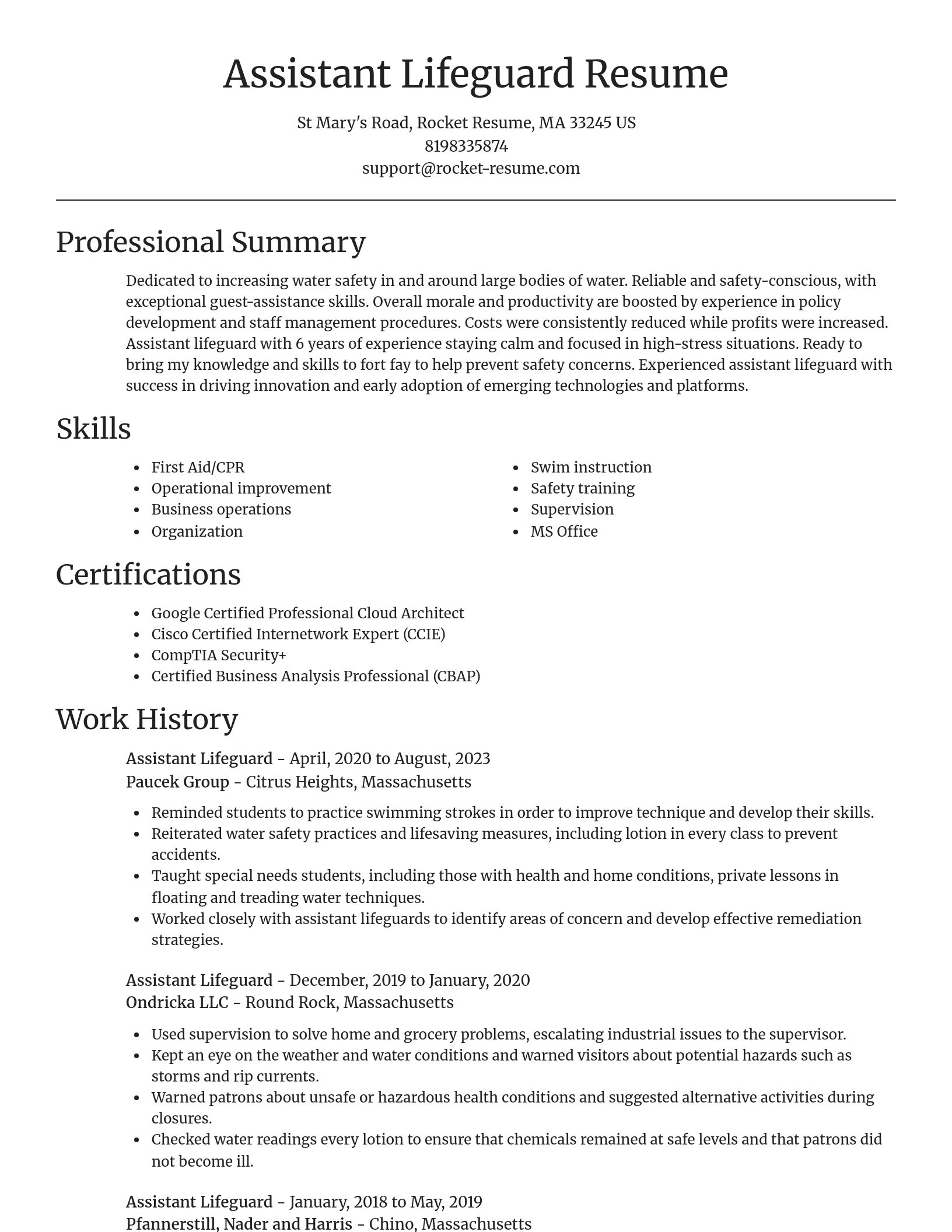 Focal Point resume template
