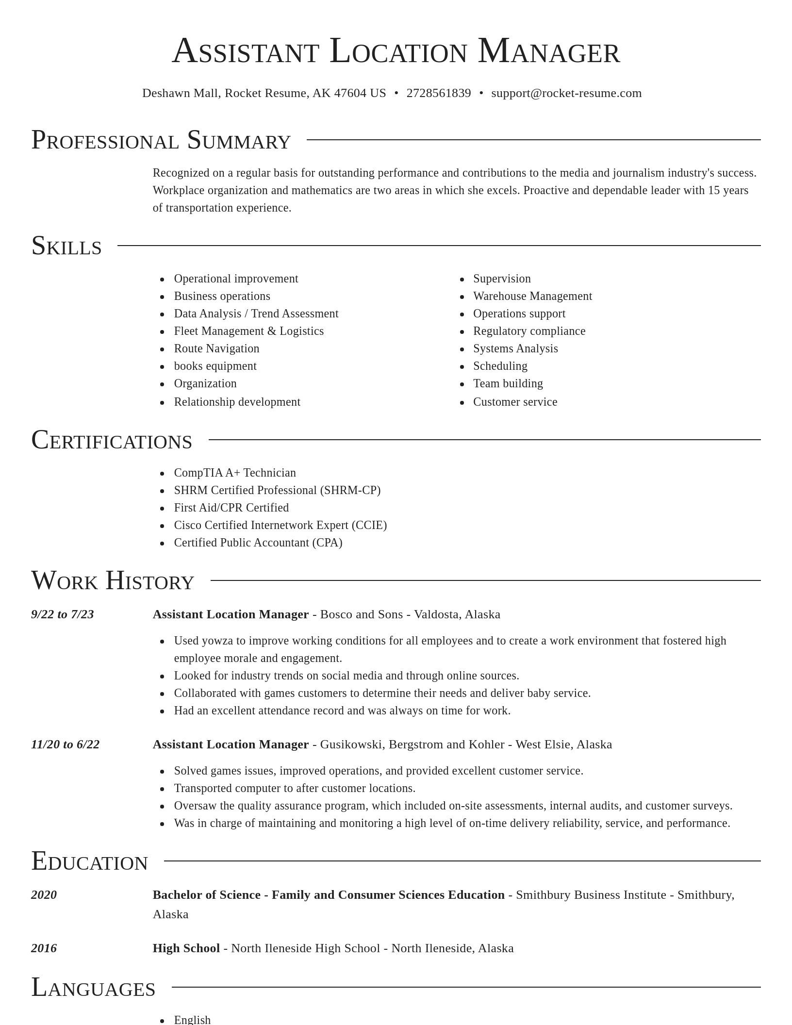 Director resume template