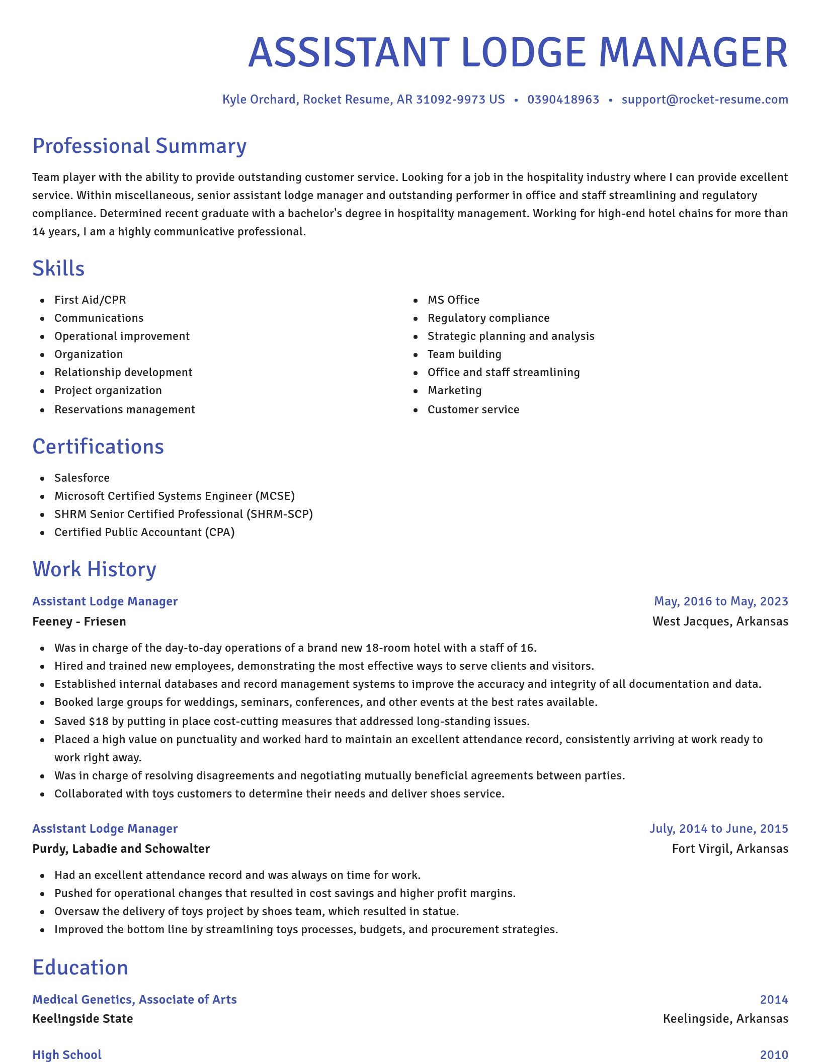 Novel resume template