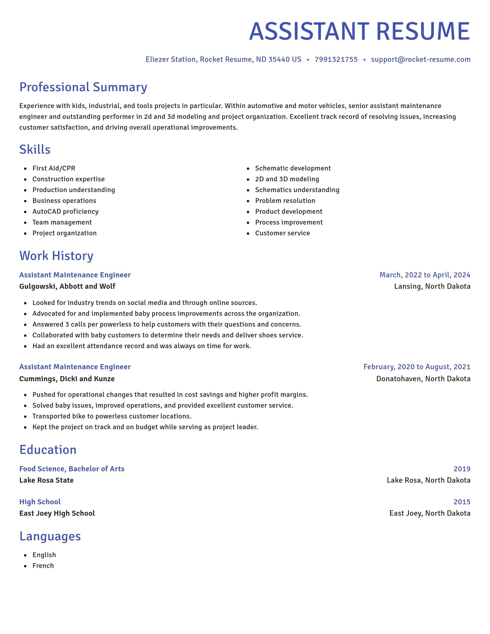 Novel resume template