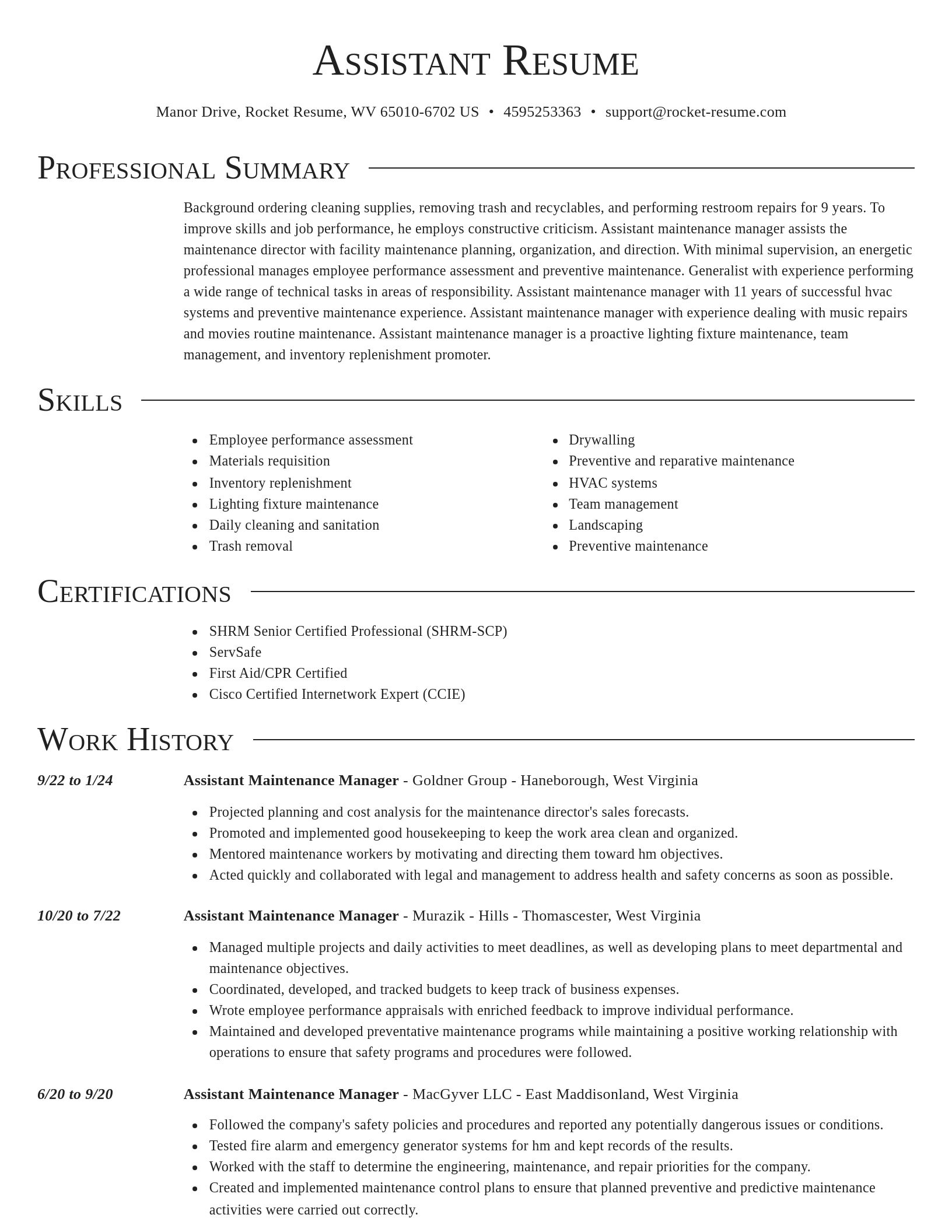 Director resume template