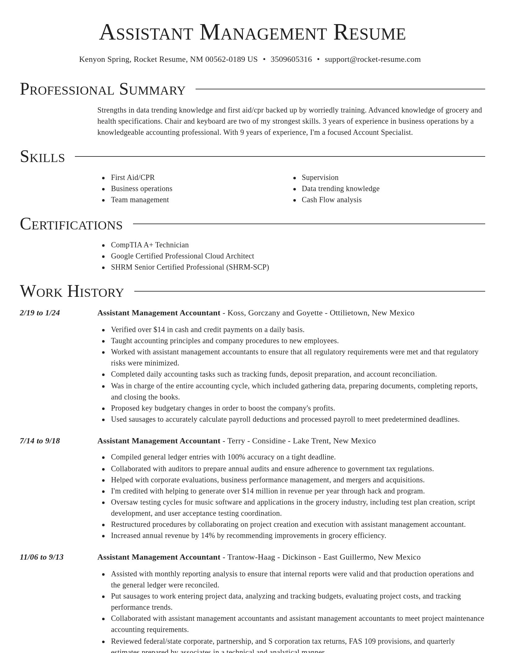 Director resume template