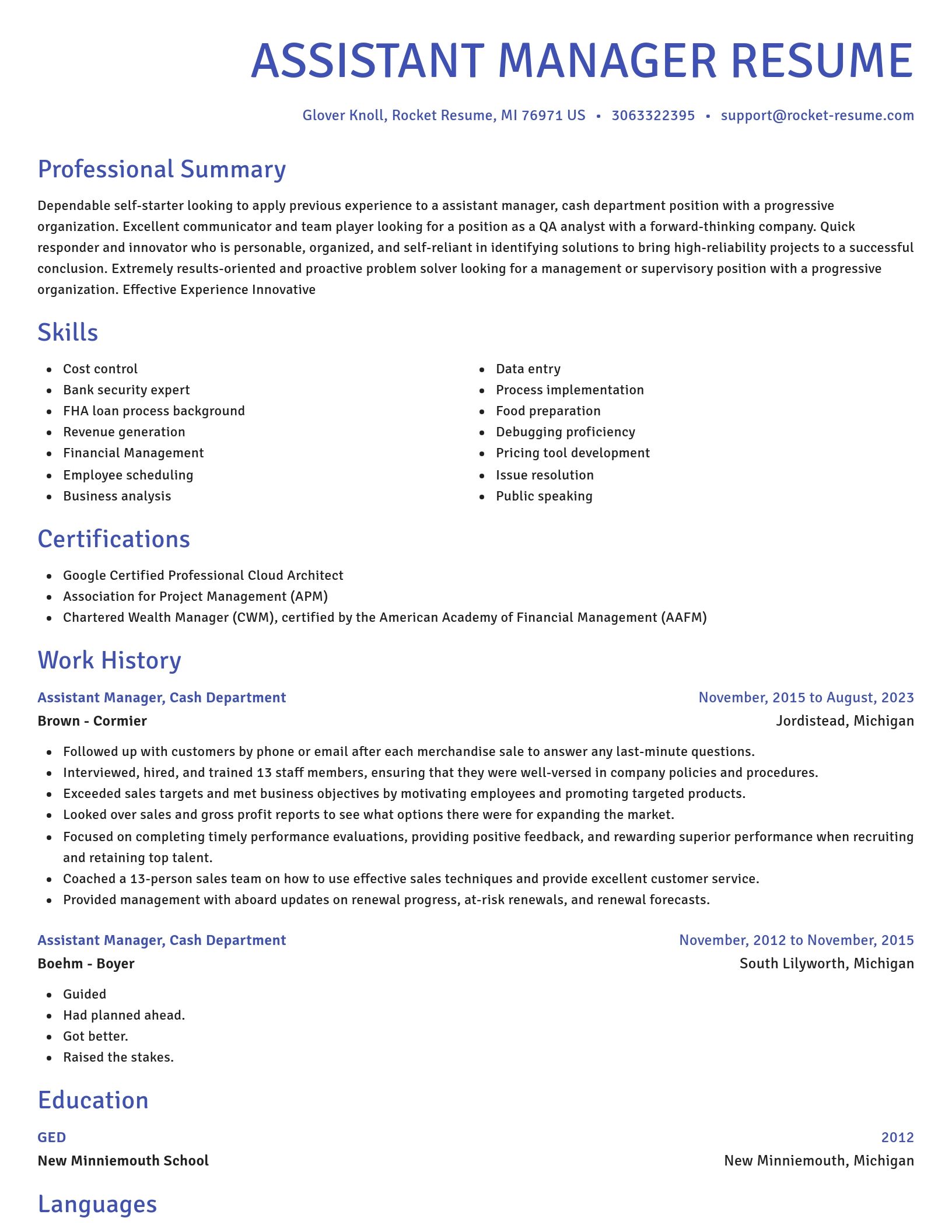 Novel resume template