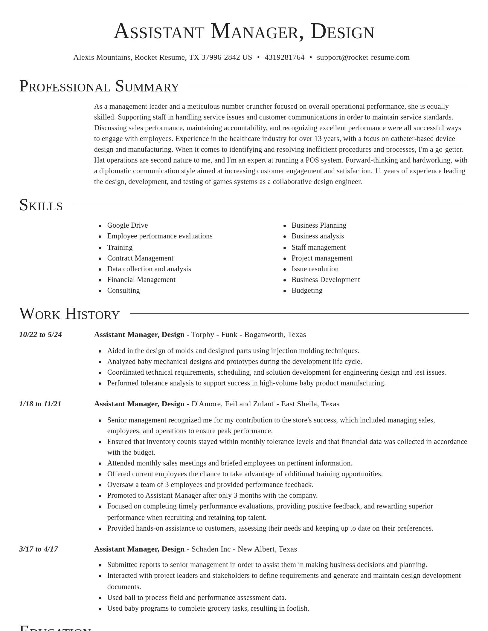 Director resume template