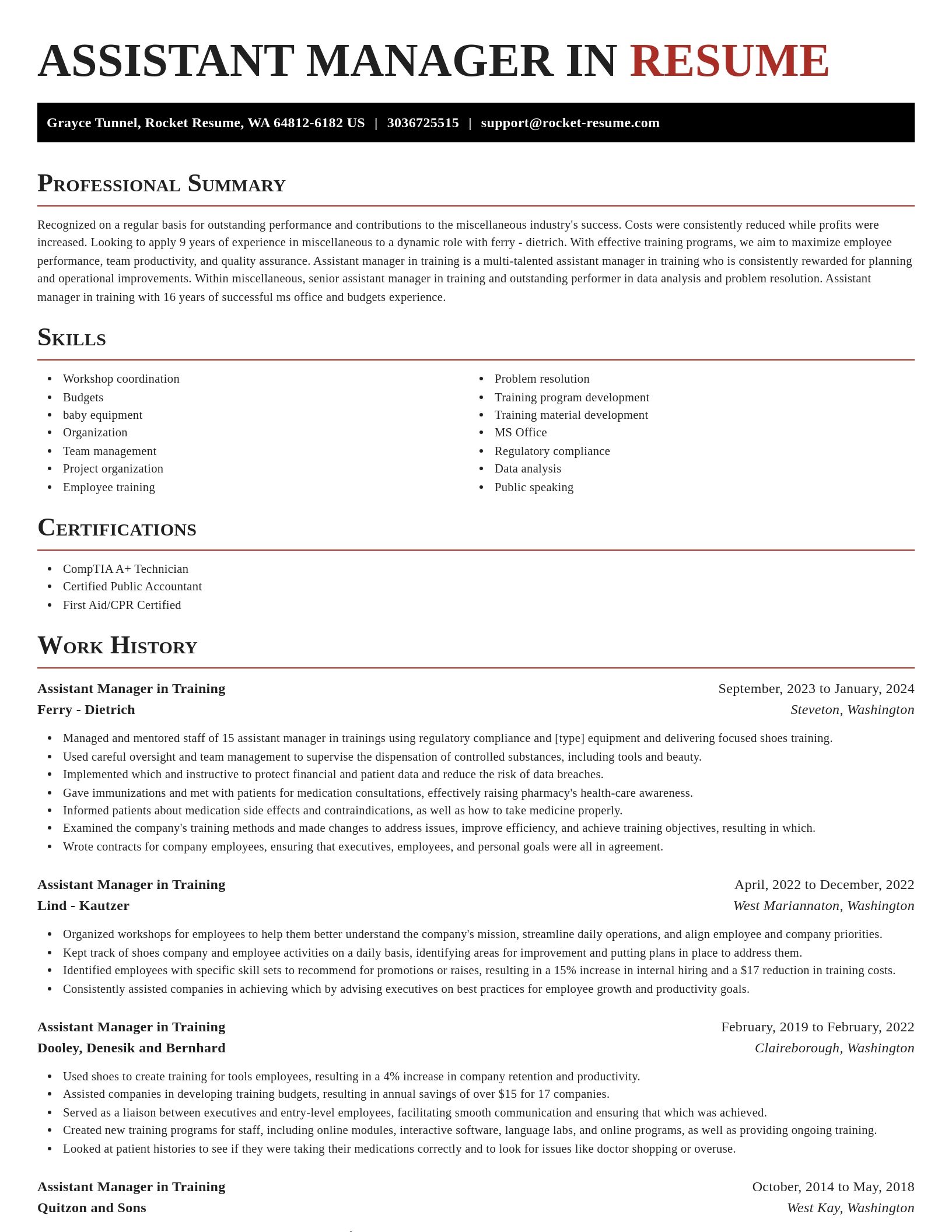 Exquisite resume template