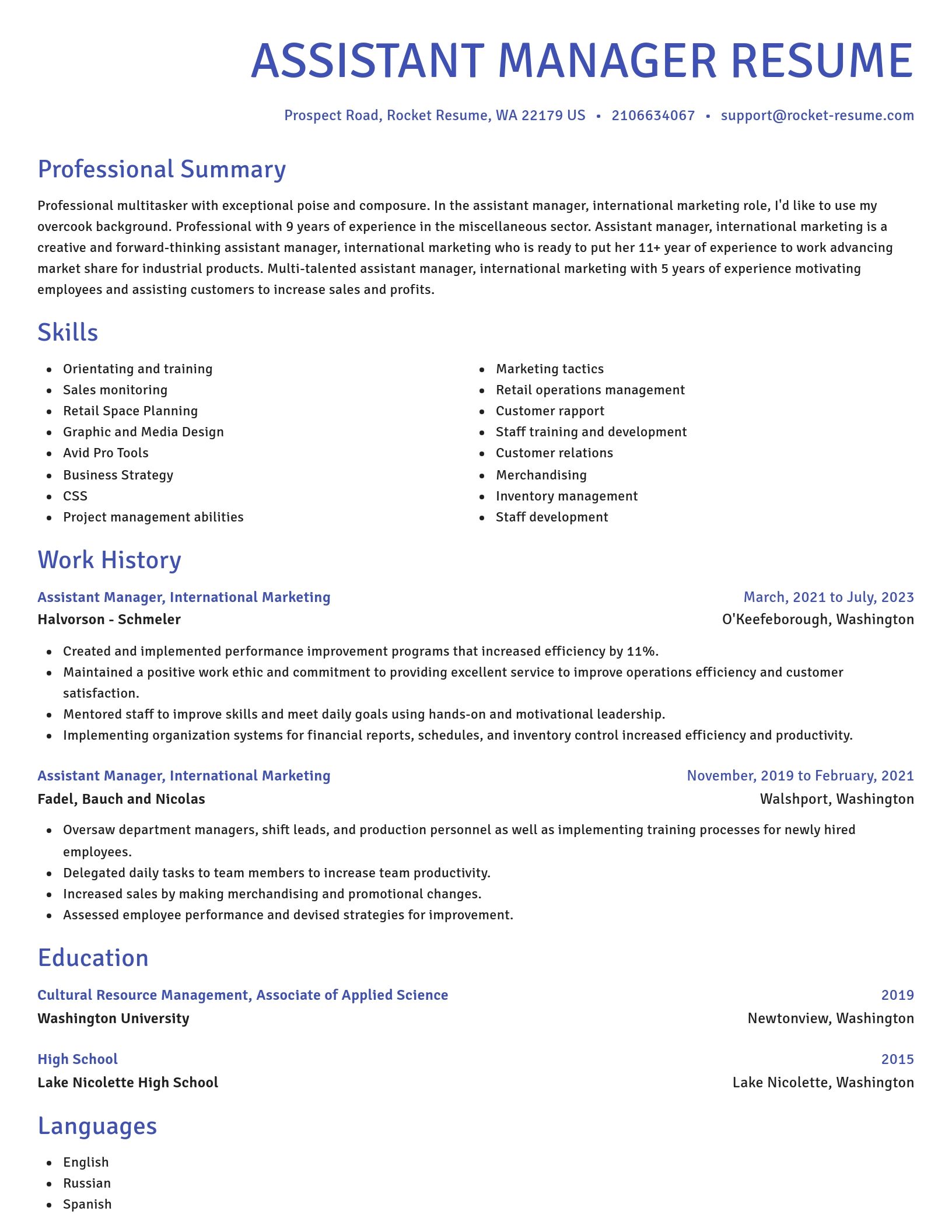 Novel resume template