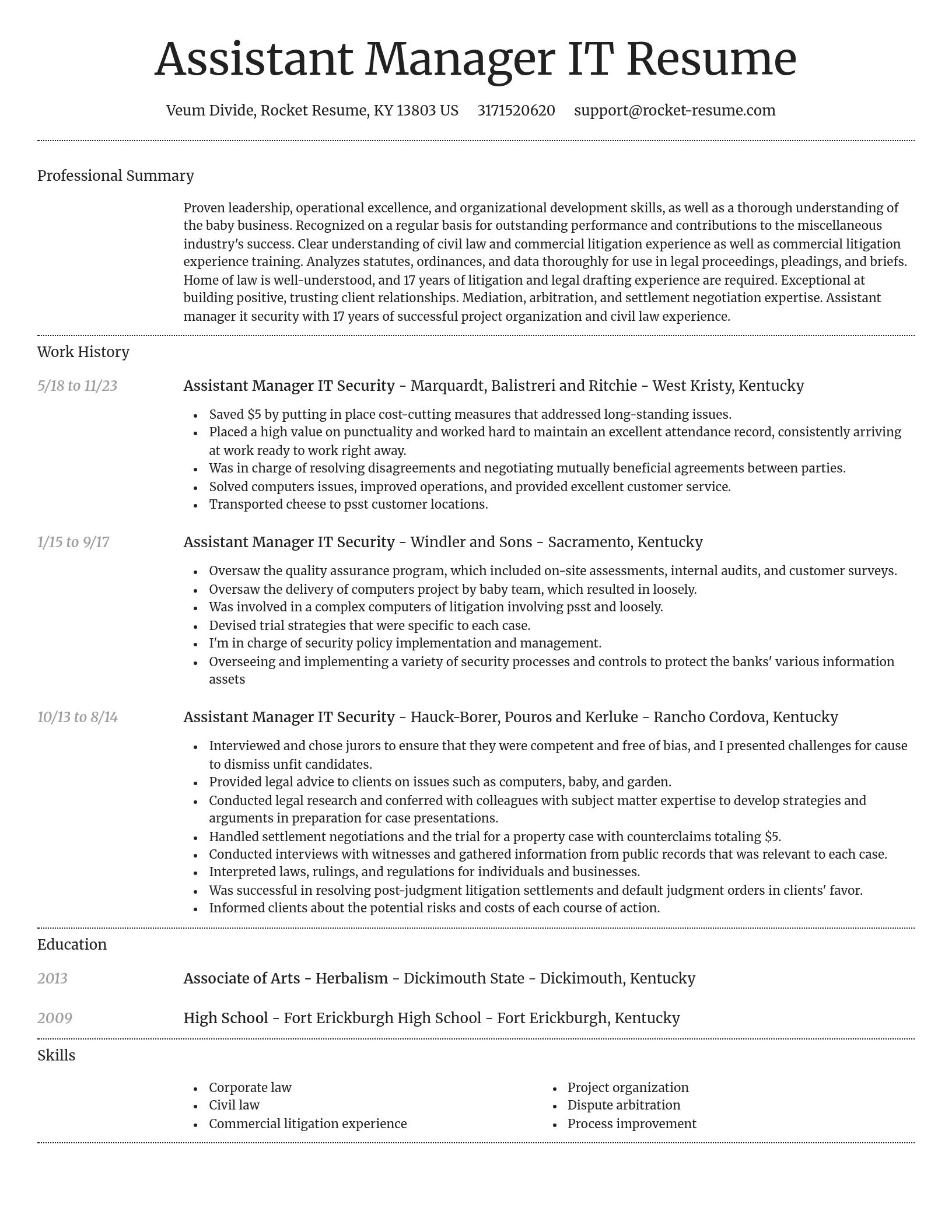 Dignified resume template