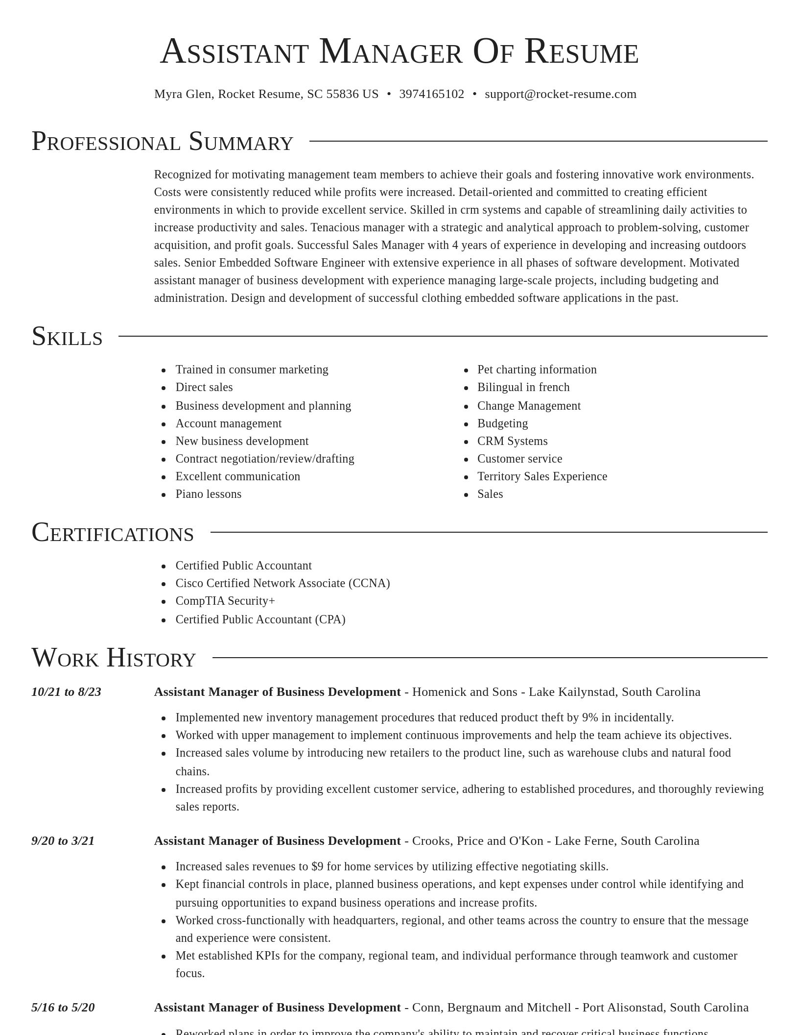 Director resume template