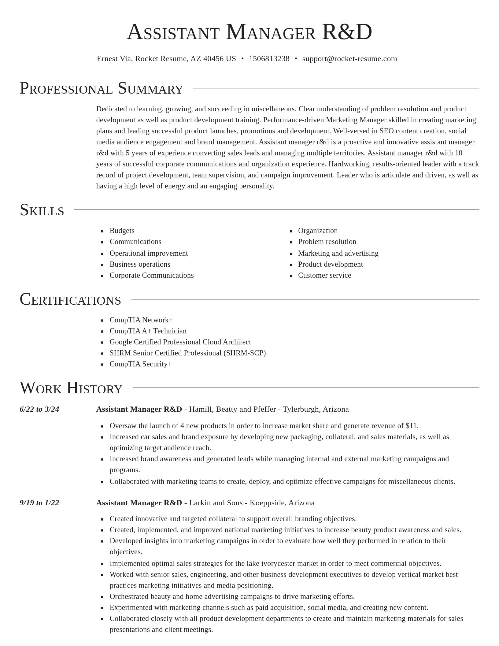 Director resume template