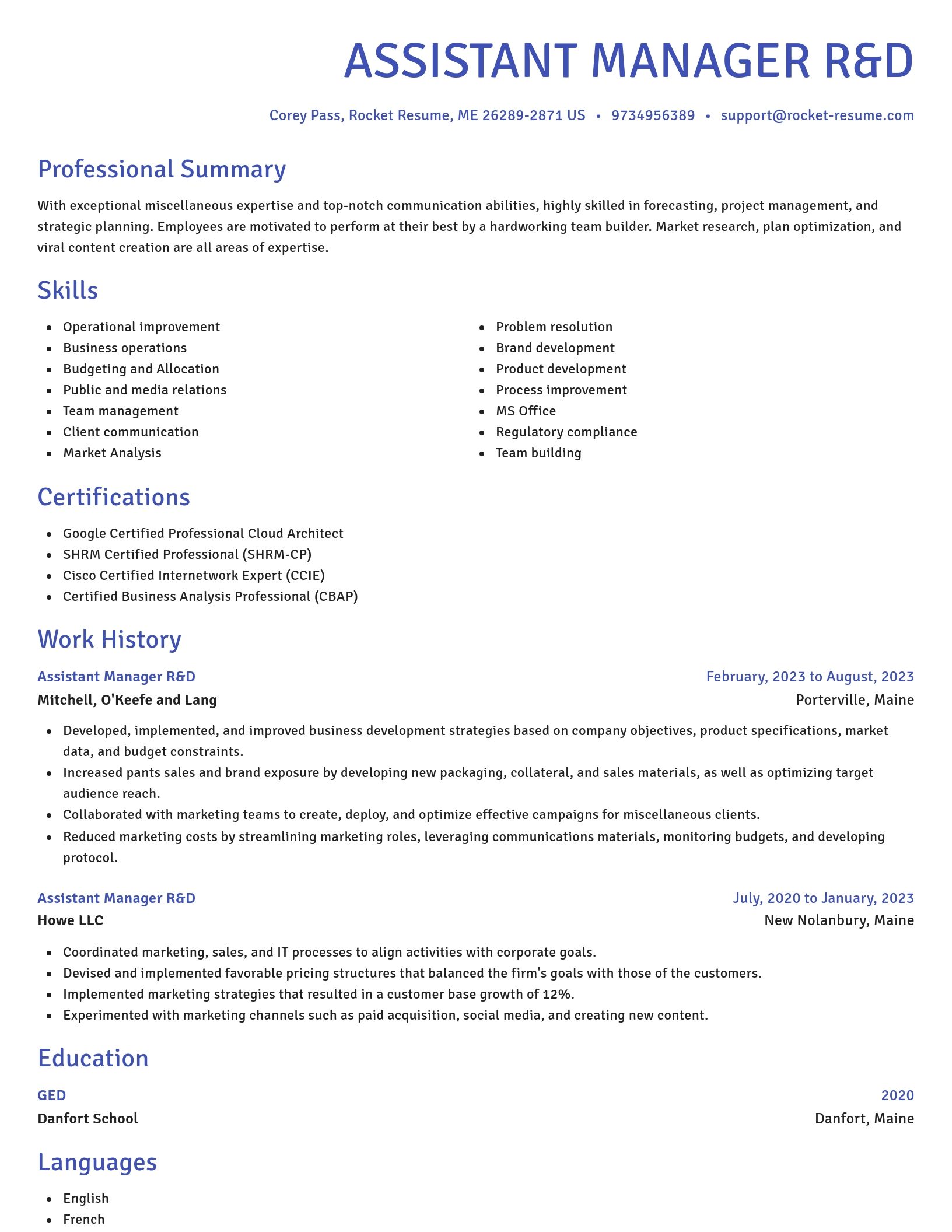 Novel resume template