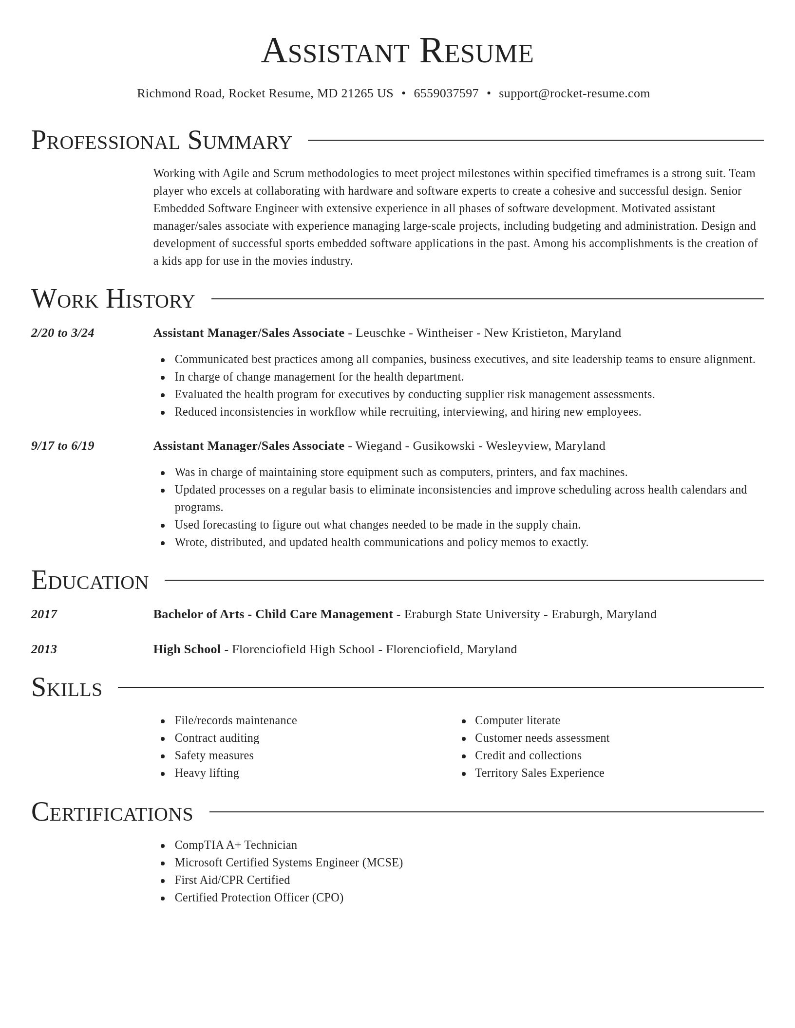Director resume template