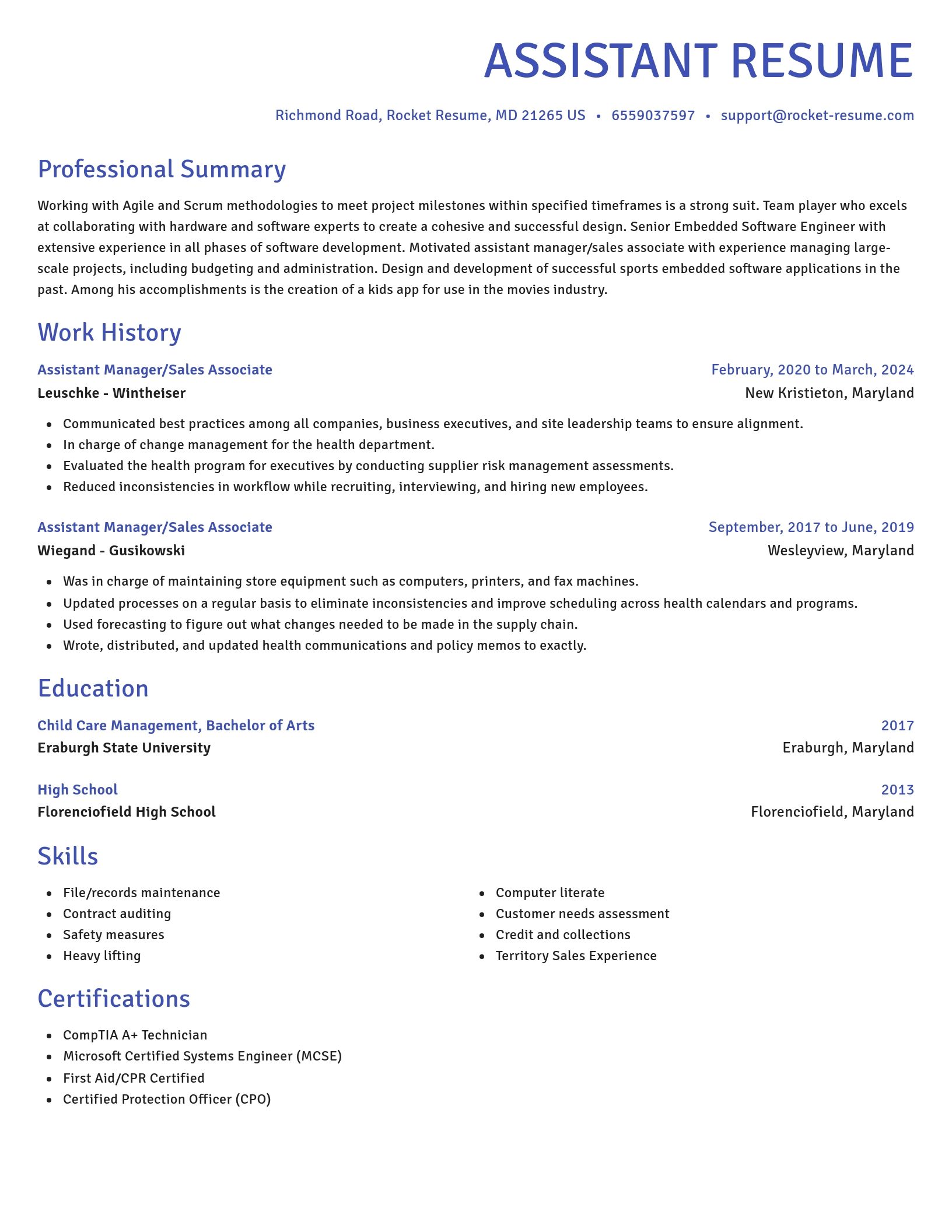 Novel resume template