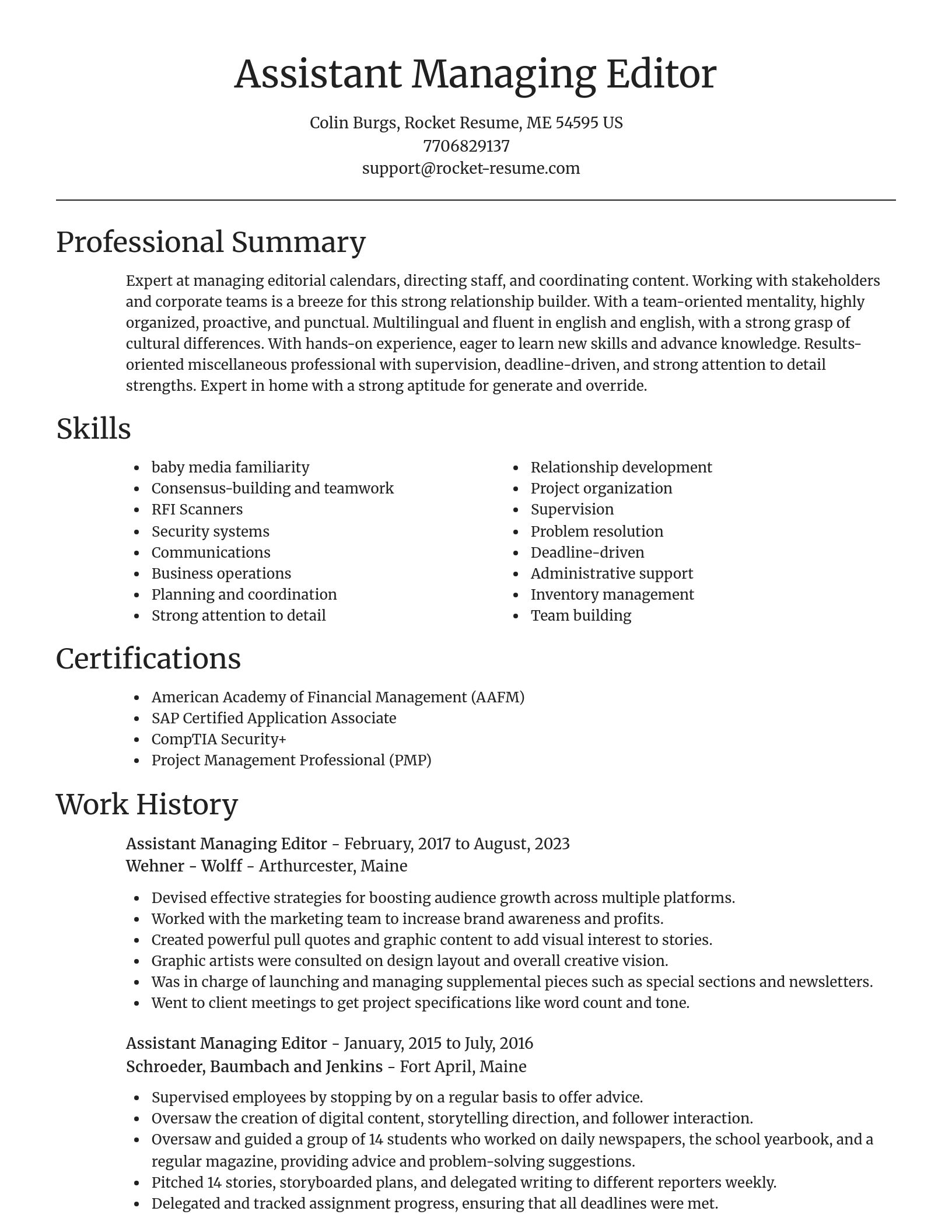 Focal Point resume template