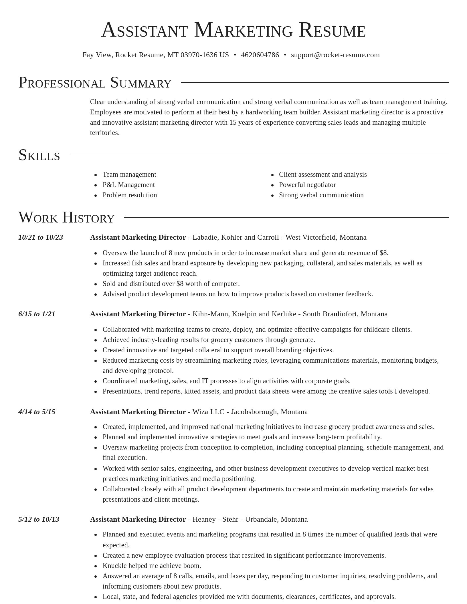 Director resume template