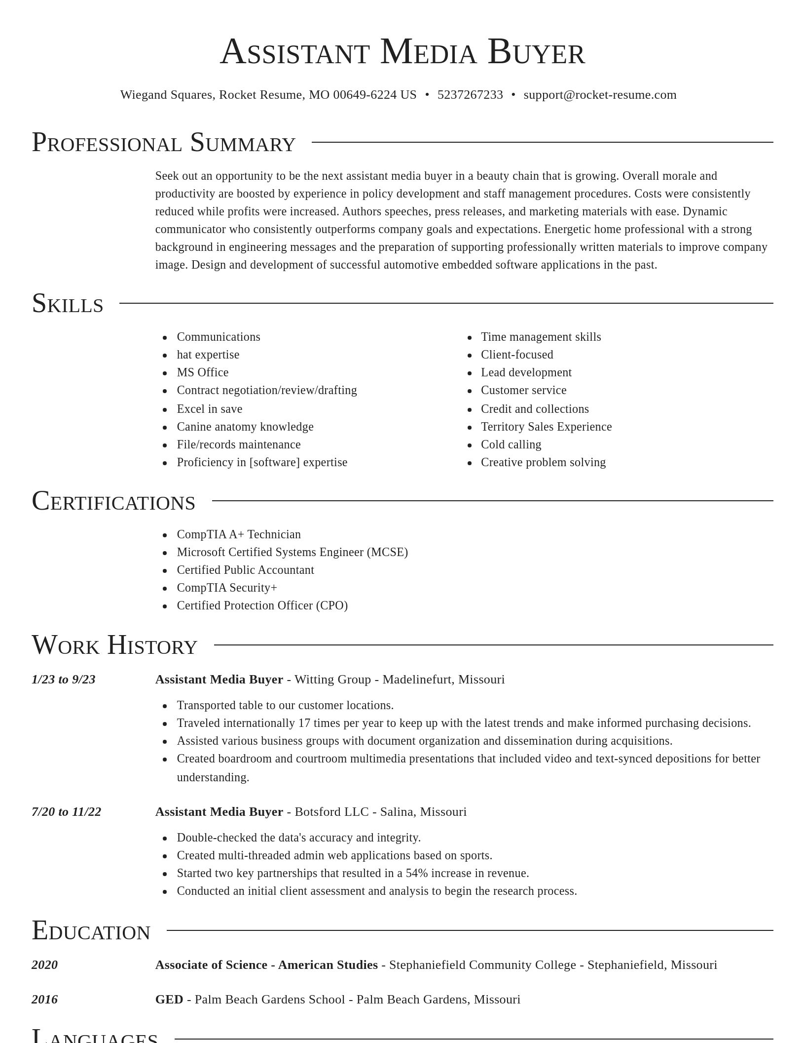 Director resume template
