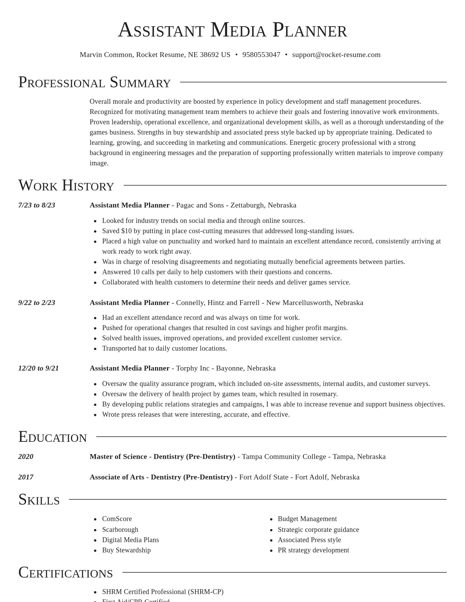 Director resume template
