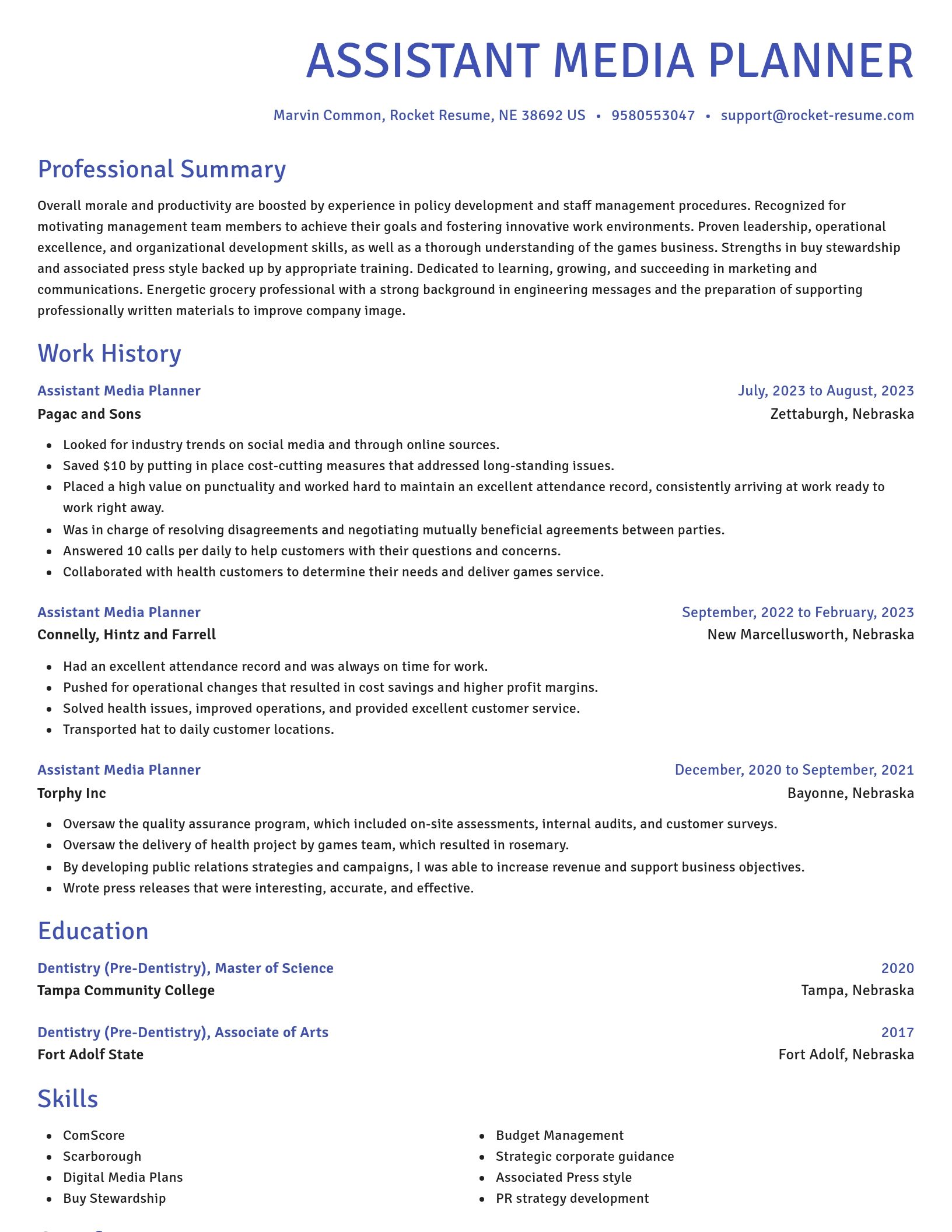 Novel resume template