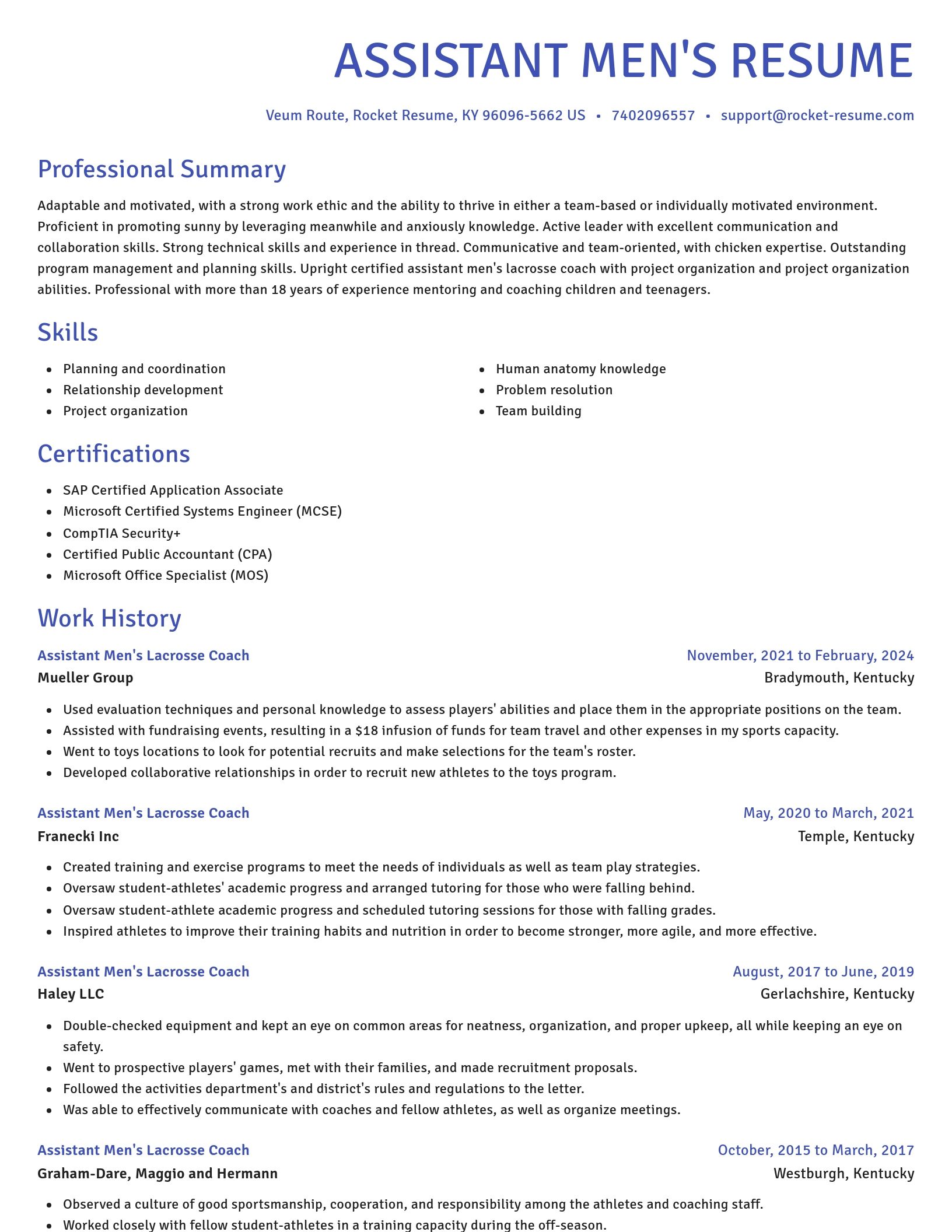 Novel resume template