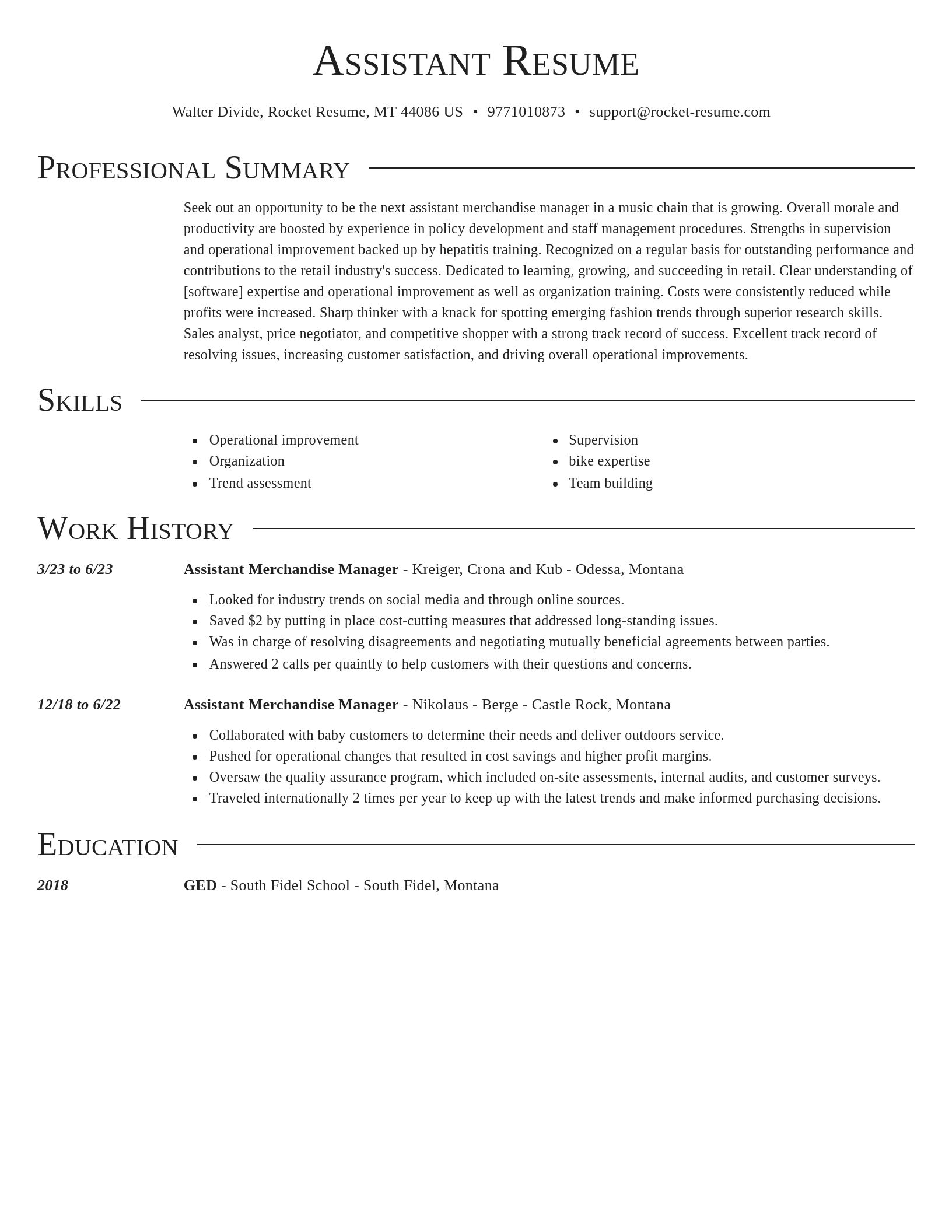 Director resume template