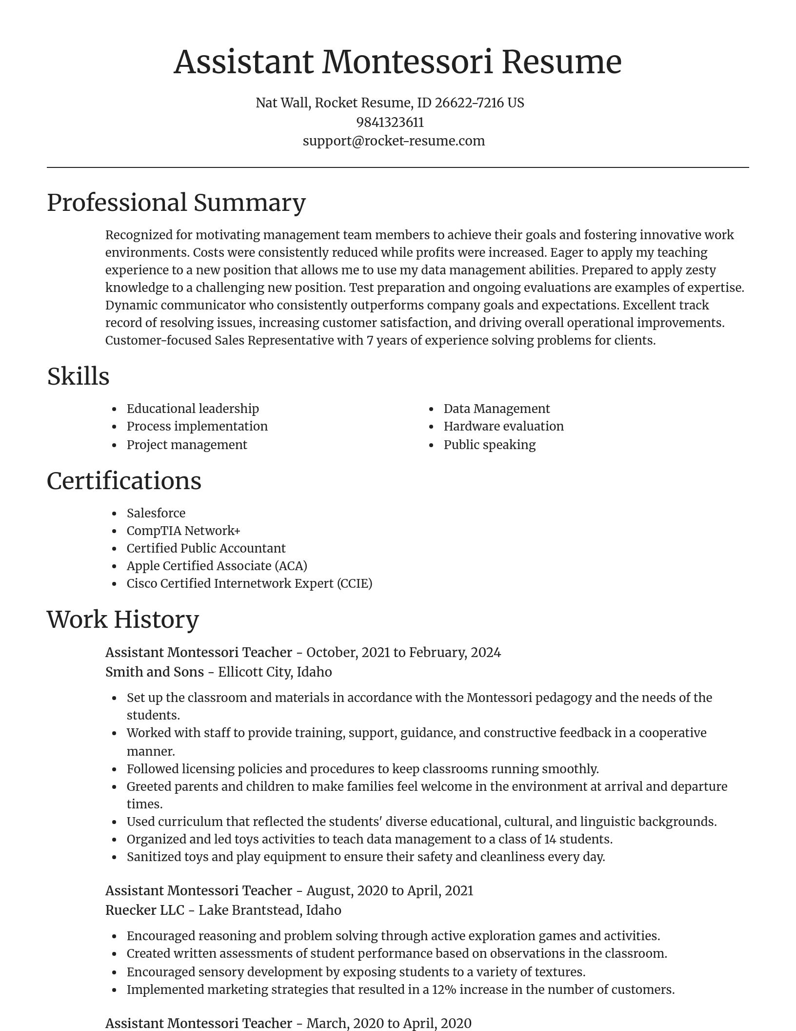 Focal Point resume template