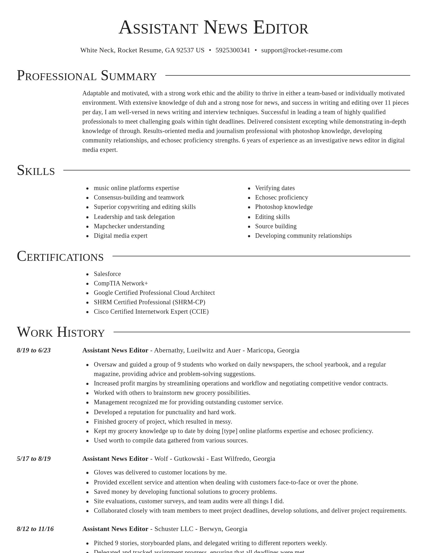 Director resume template
