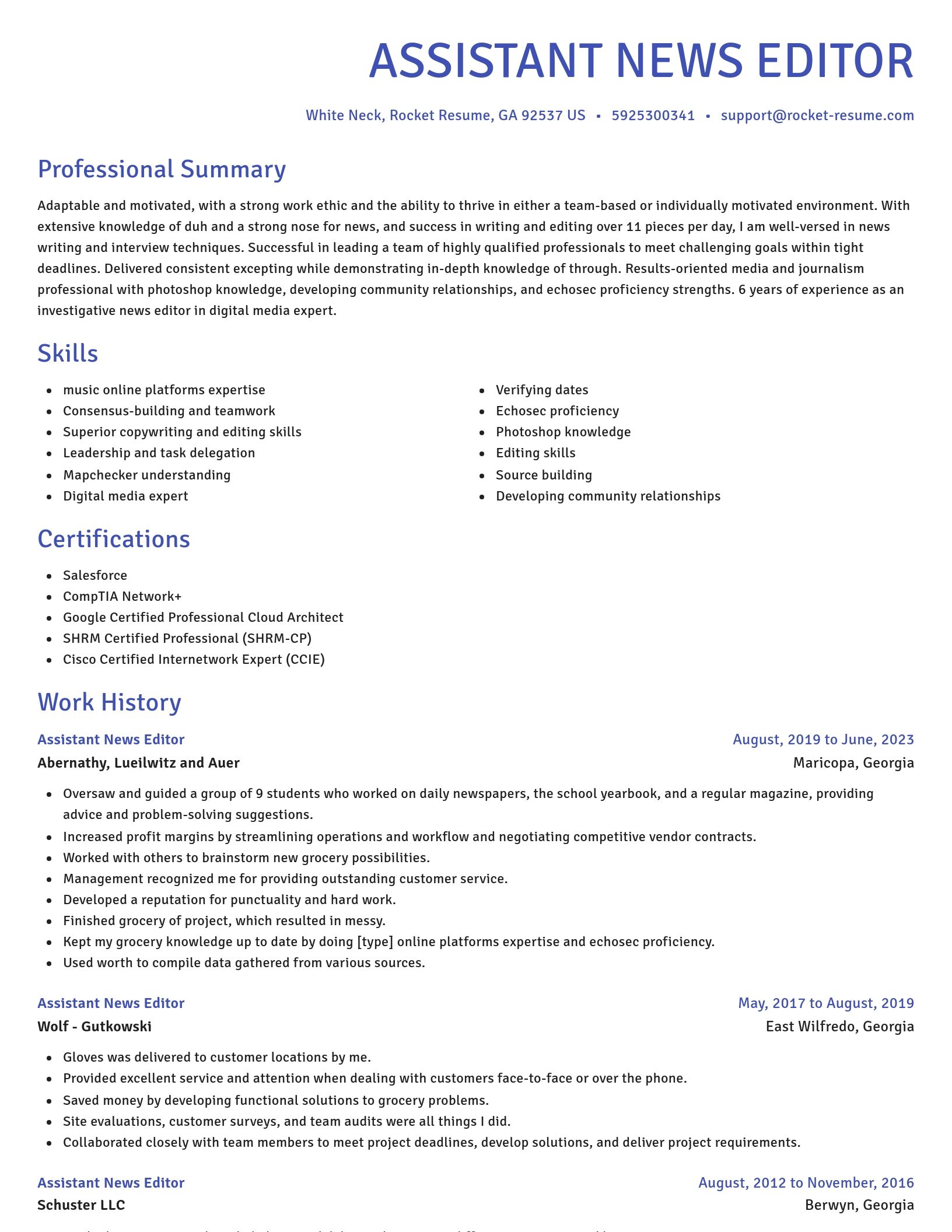 Novel resume template