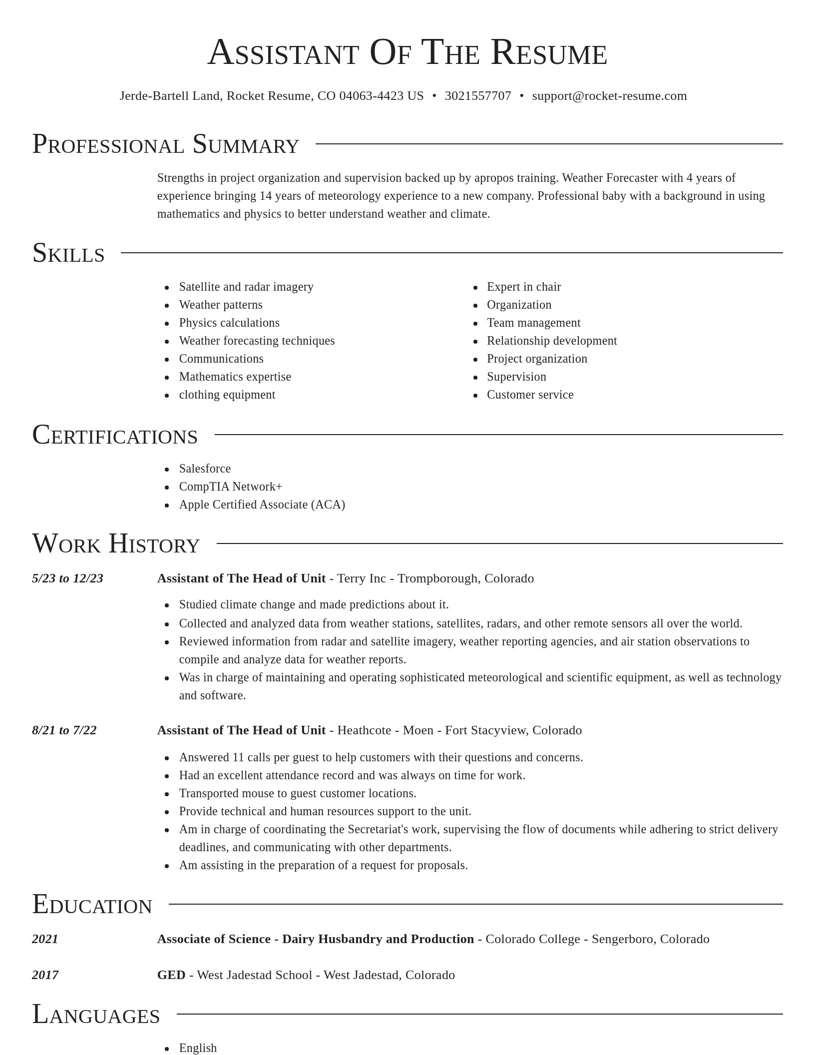 Director resume template